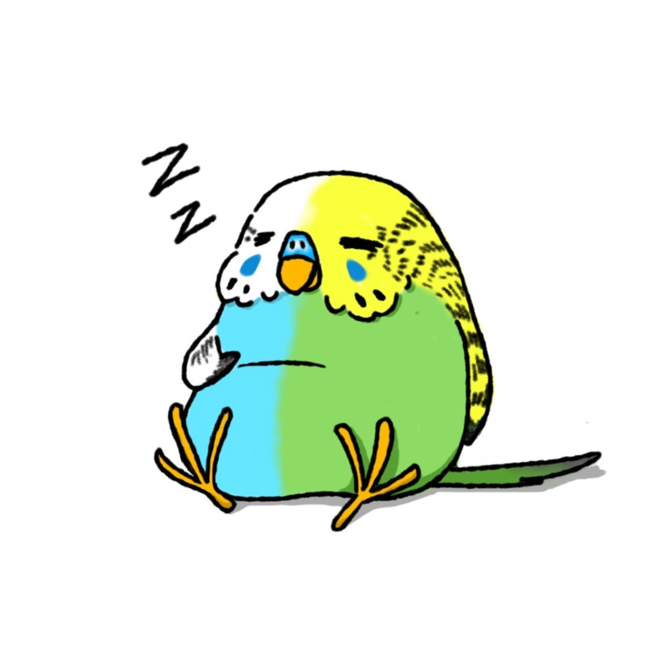 原创萌宠头像|肥肥鸟00大肚腩虎皮鹦鹉 肚腩改编自毛茸茸胸脯 虎皮