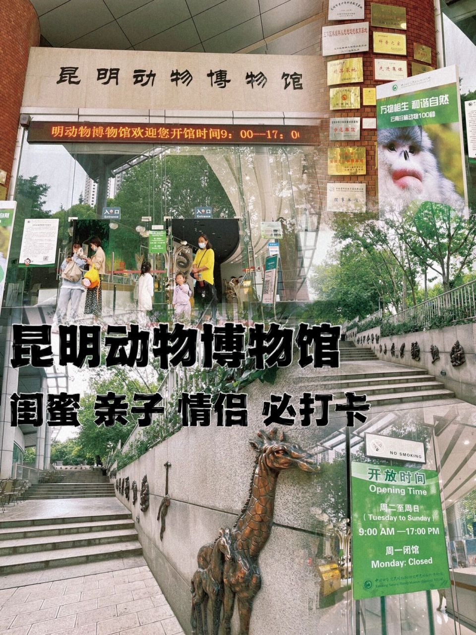 昆明 | 昆明动物博物馆一个必打卡的好地方 📍昆明动物博物馆 五华