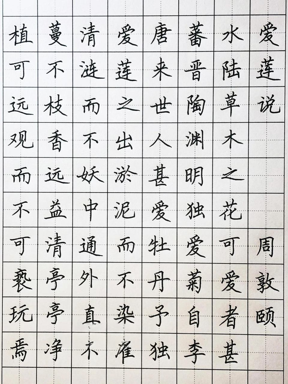 手写丨硬笔楷书 《爱莲说》出淤泥而不染 水陆草木之花,可爱者甚蕃.