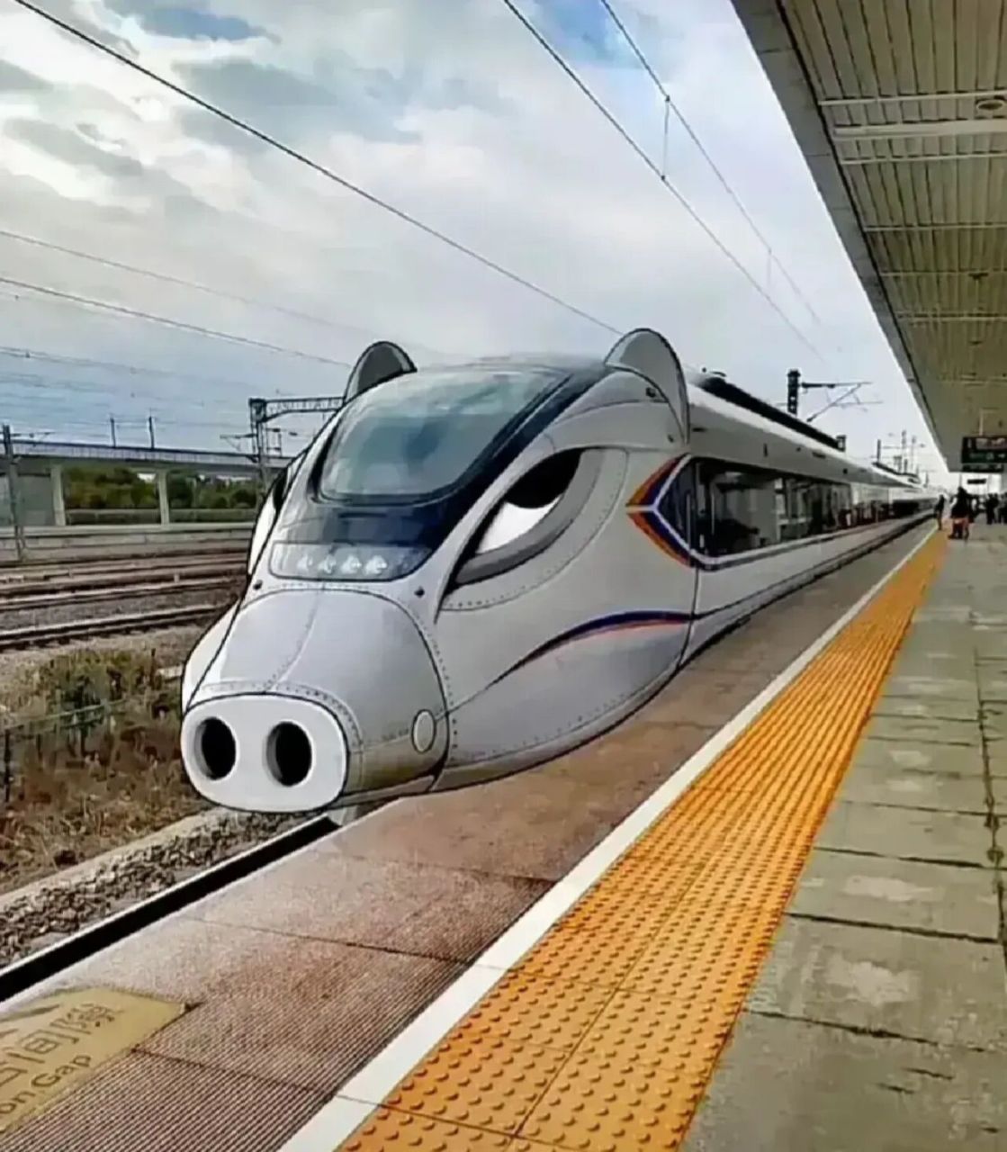 要是那些旅游城市的高铁车头都设计 成动物形象,会不会有更多游客?