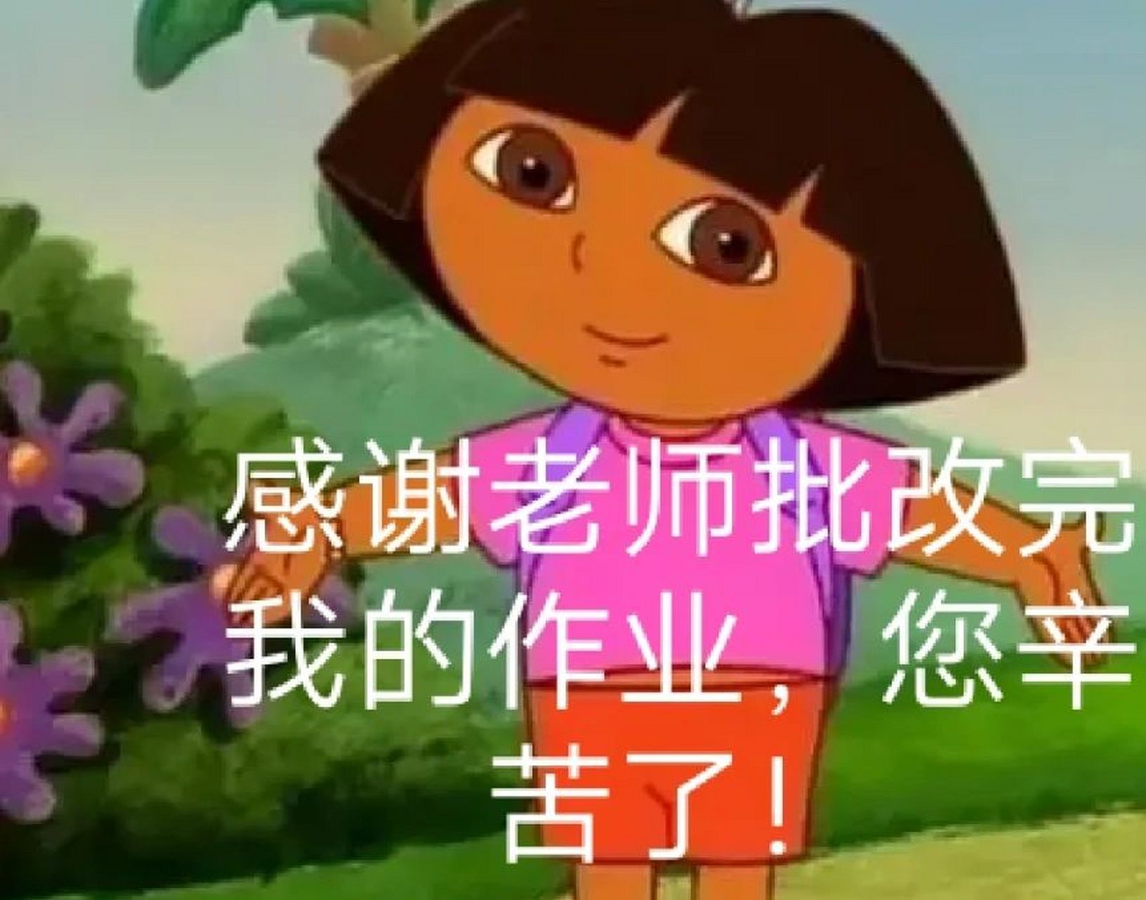 朵拉交作业表情包 老师:你*真棒!