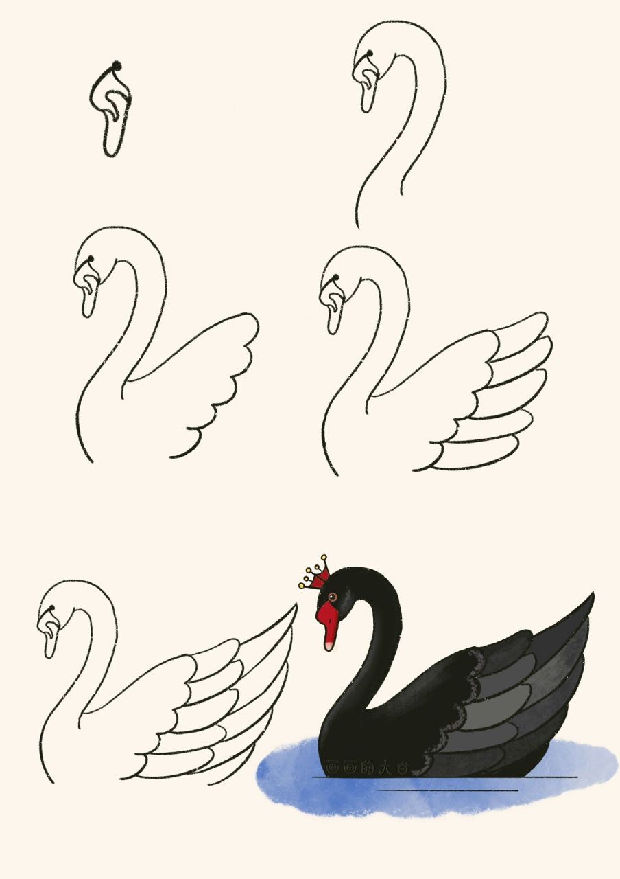 黑天鹅画法图片