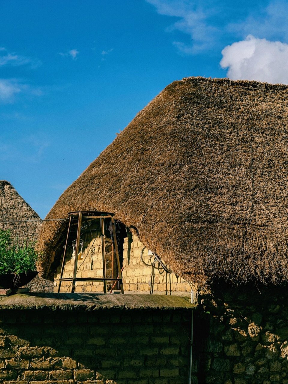 哈尼族古村落阿者科|大山里的蘑菇屋 96地址:云南省红河州元阳县