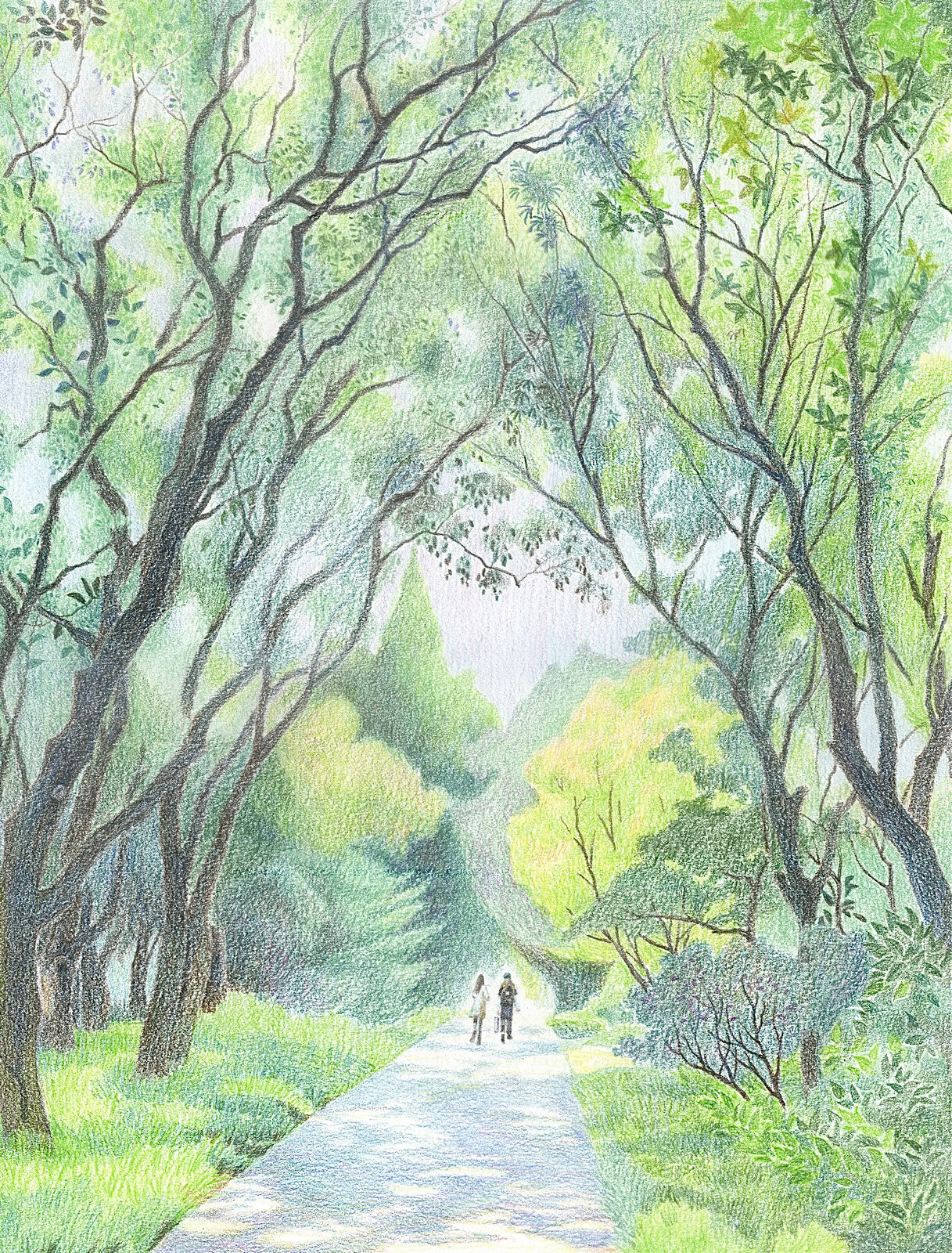 彩铅手绘 公园步道 周末