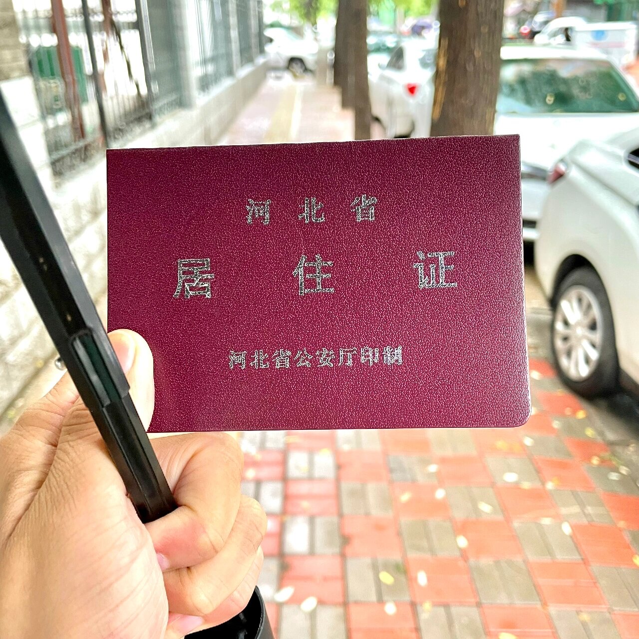 居住证15天之内下本本
