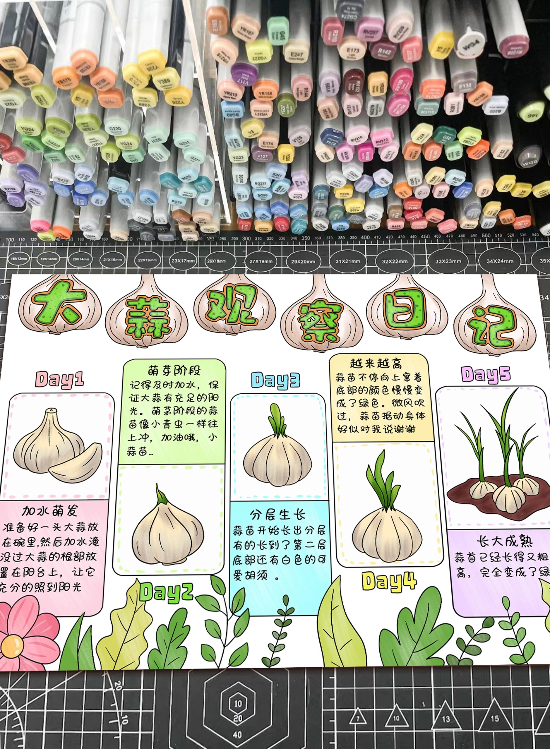 大蒜观察日记手抄报模板分享71