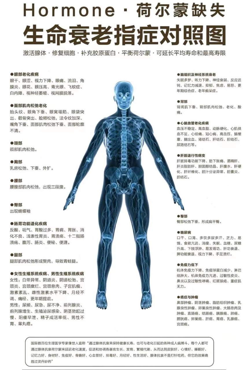 人身体八大腺体图图片