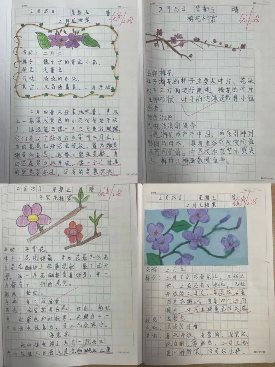 观察一种植物写记录卡100字(观察一种植物写记录卡100字怎么写)