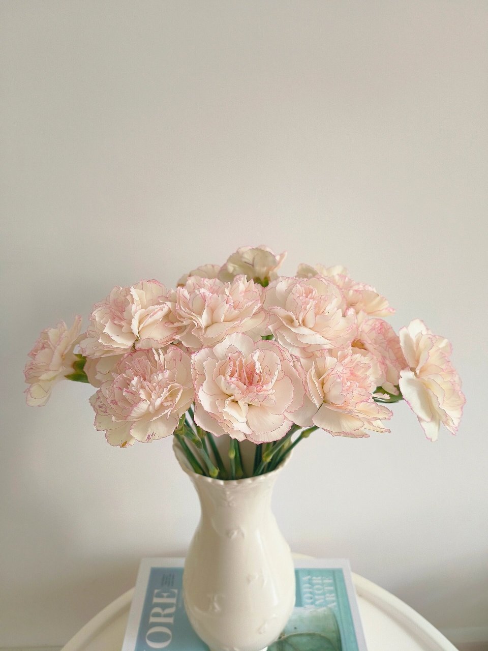 小天使康乃馨 #当下花房# #鲜花# #网购鲜花# #鲜花养护# #鲜切花