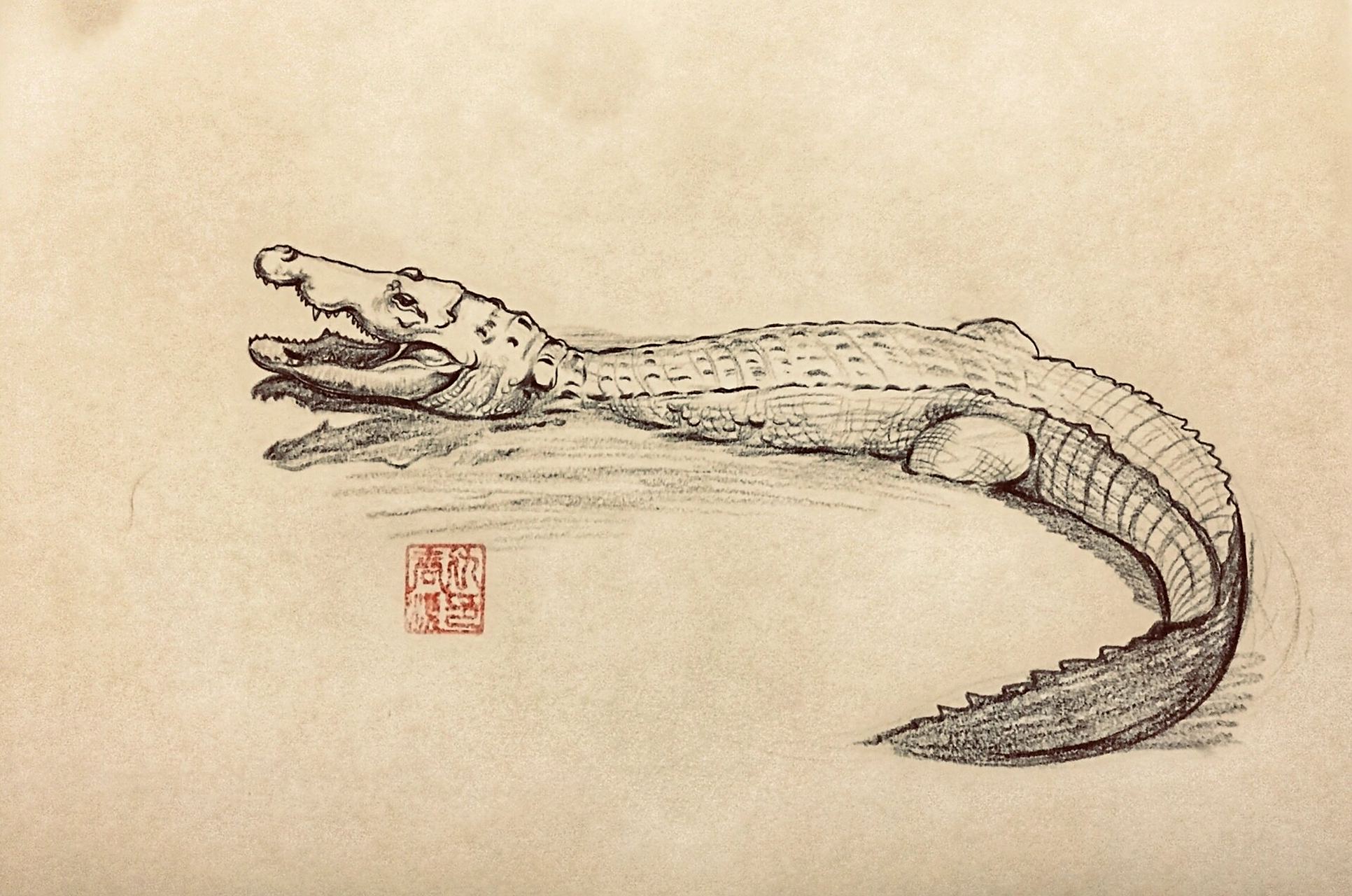 鳄鱼系列速写绘画