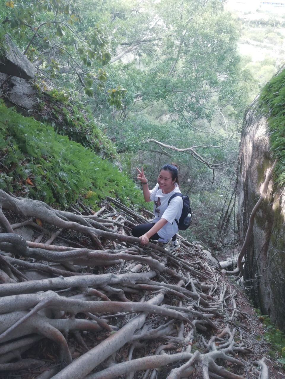 厦门岛内爬山图片