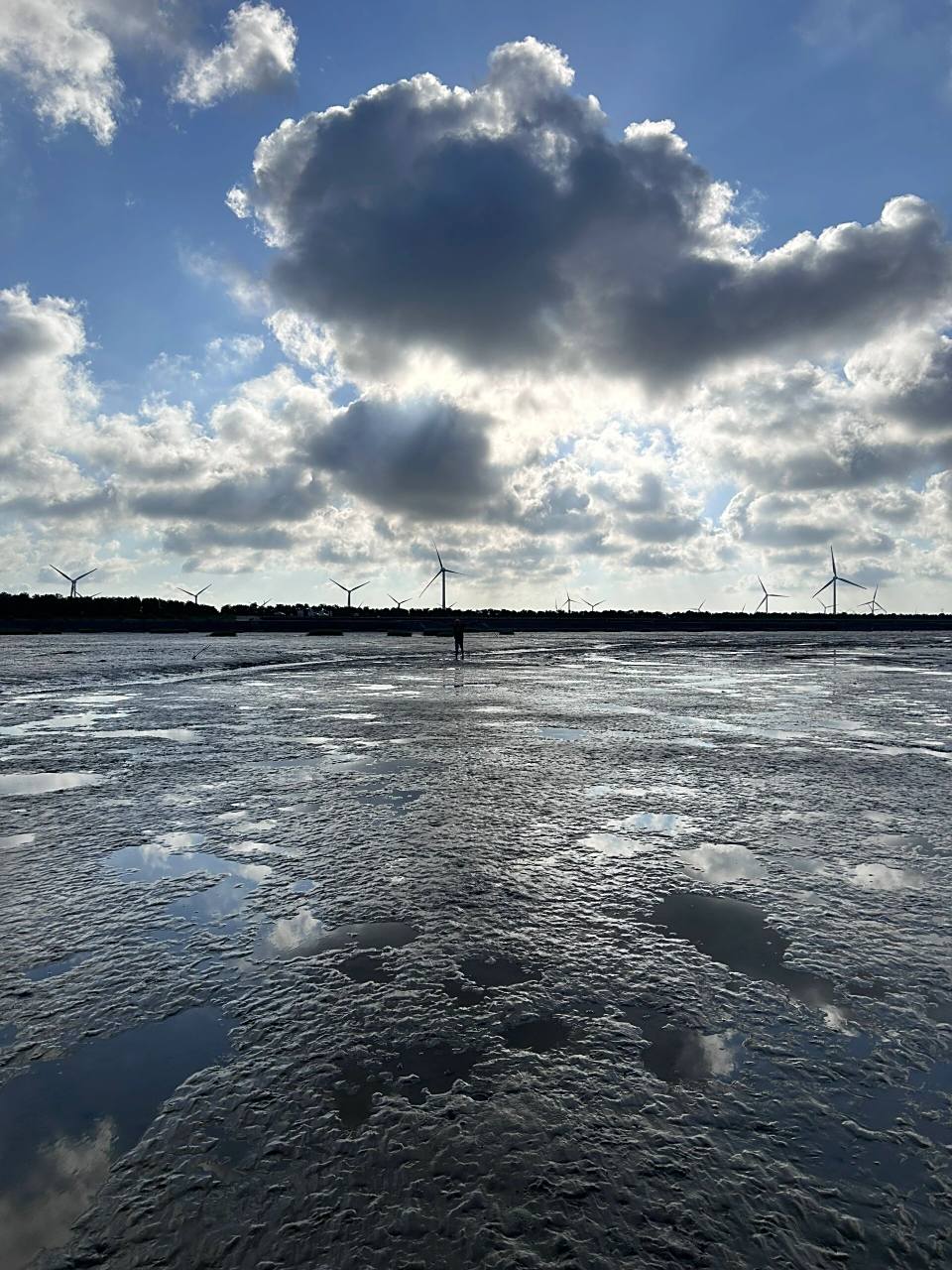 盐城大丰的日出海湾,周末放假好去处  第一次去到盐城的海边,定位是在