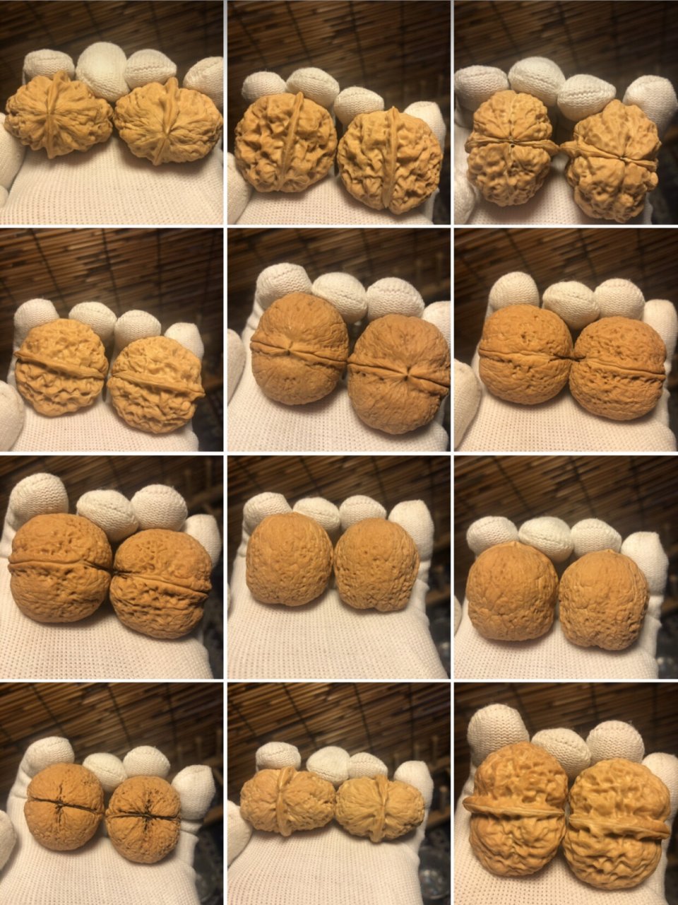 大自然的馈赠 云南铁核桃 云南铁核桃,一般长在海拔较高的石山上,而