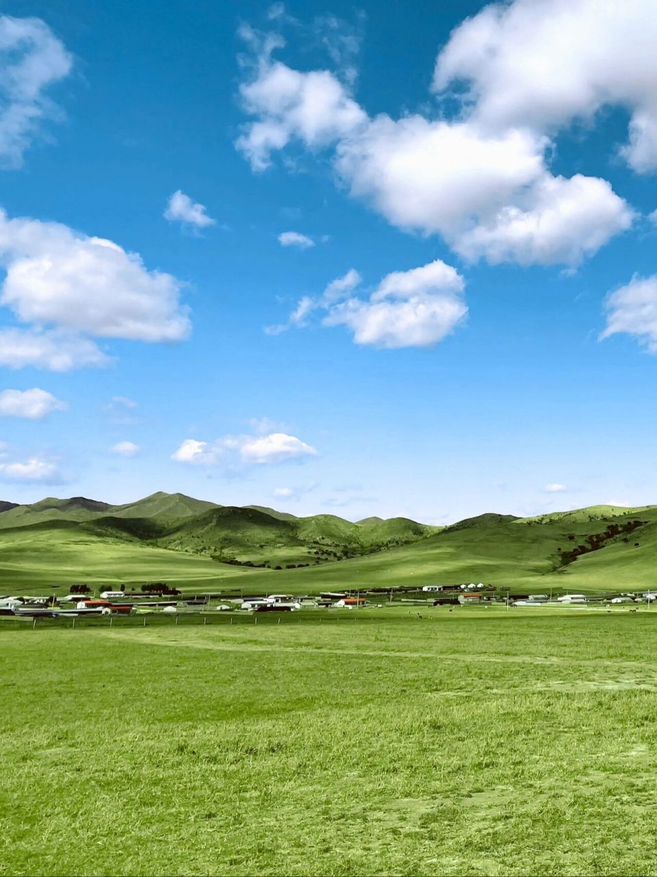 通辽|扎鲁特旗 带着一点失望 定位:扎鲁特旗军马场旅游区 10.