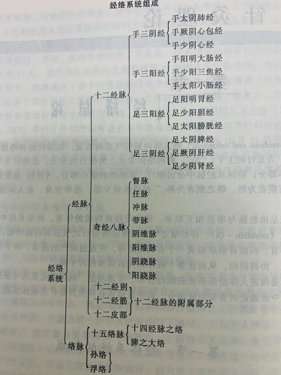 一张图看懂经络系统,奇经八脉 7815经络系统,由经脉和络脉组成