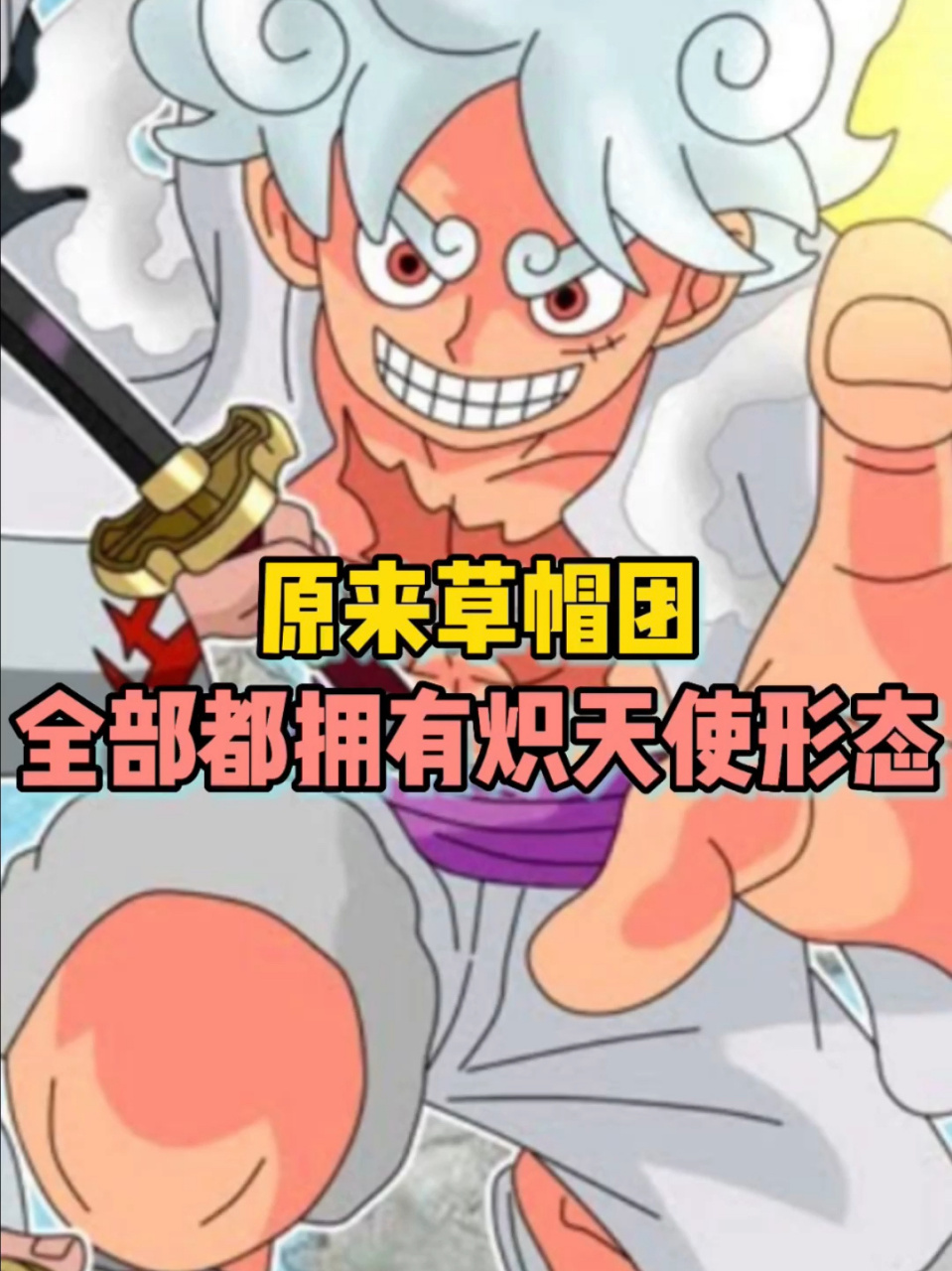 海贼王草帽团原来全部都拥有炽天使形态