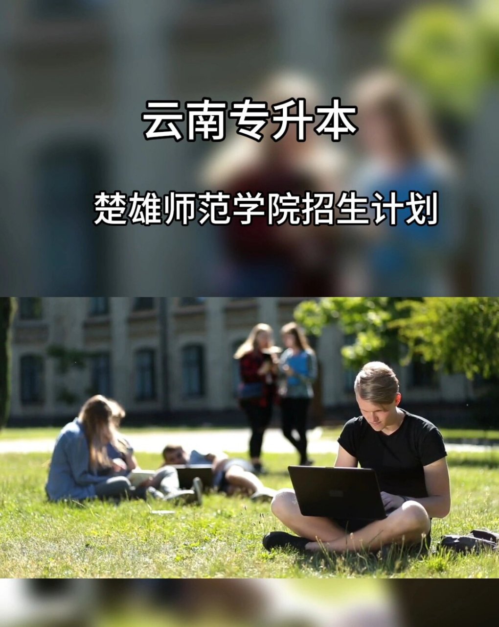 楚雄师范学院专升本图片