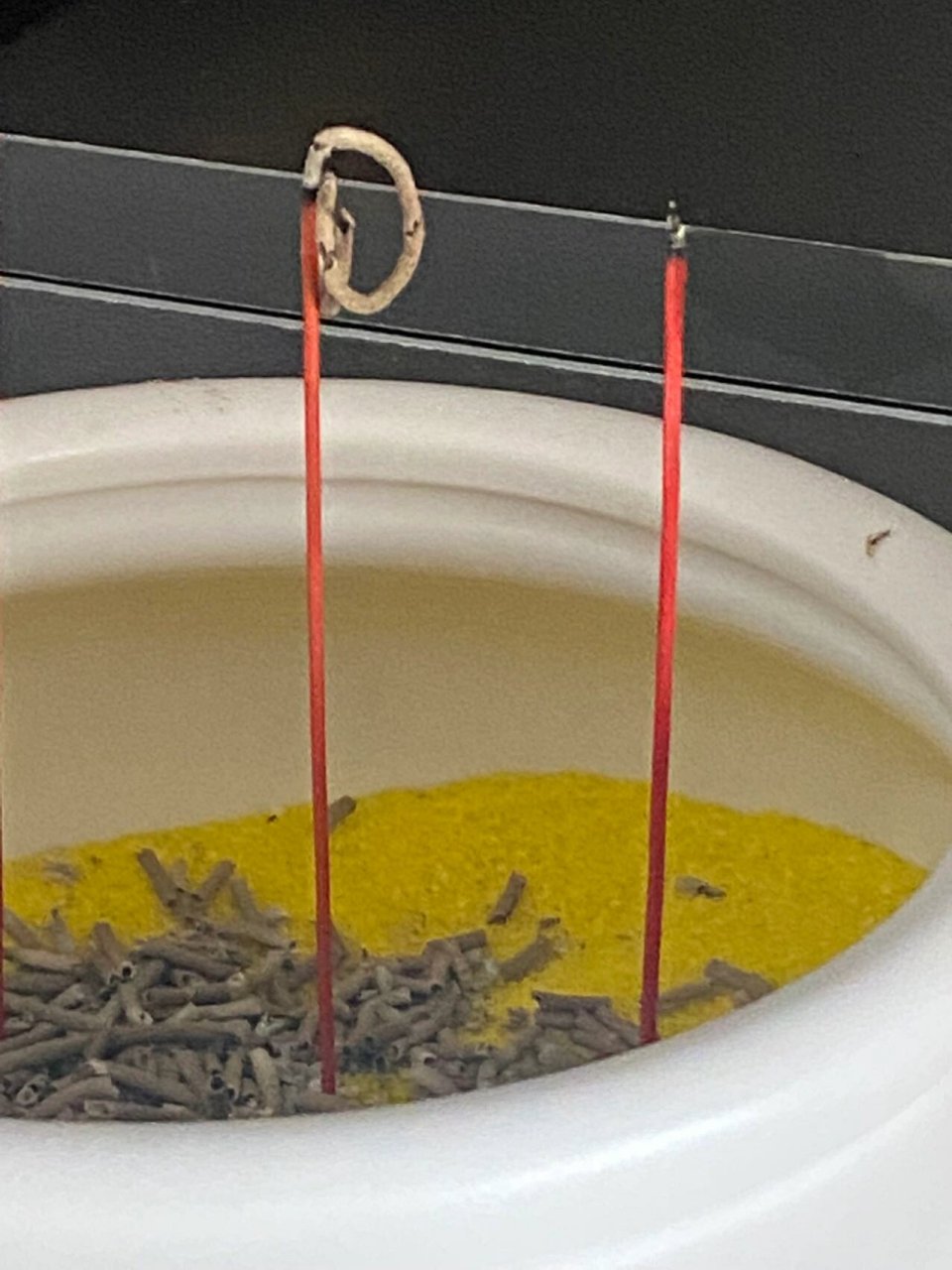 香火求解 中间这个香怎么做到的不掉天天早上烧香一个月了,第一次这样