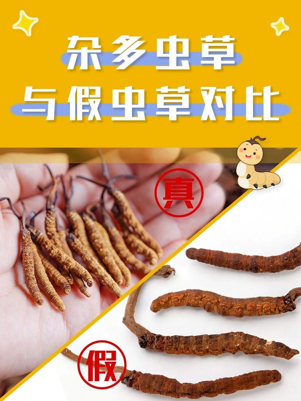 假虫草害人不浅6015收好这张真假虫草对比图98 并不是所有虫草
