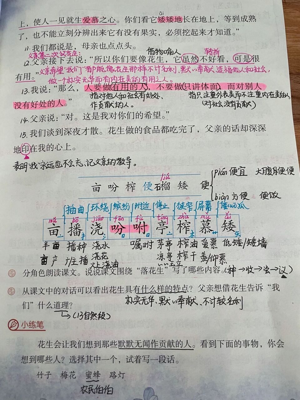 部编五年级上册语文第二课《落花生》