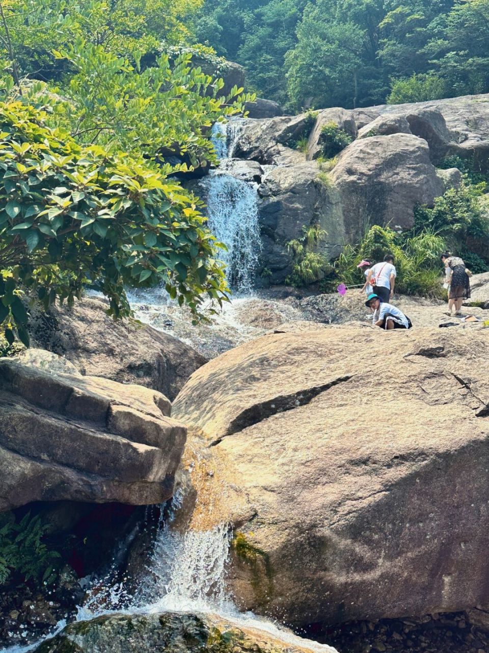 夏天到了,在选择徒步路线,必须带点水 这次来到了慈溪栲栳山,路上长度