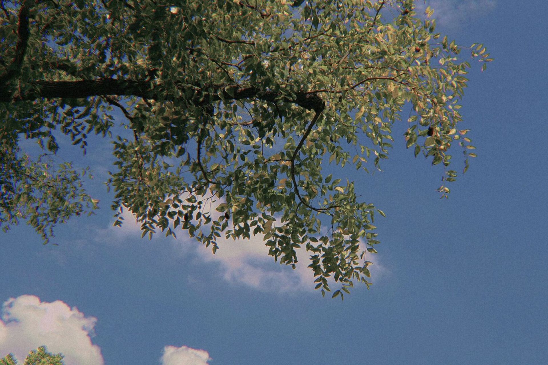 人间何所以,观风与月舒 - 7415修图app:黄油04 7415滤镜