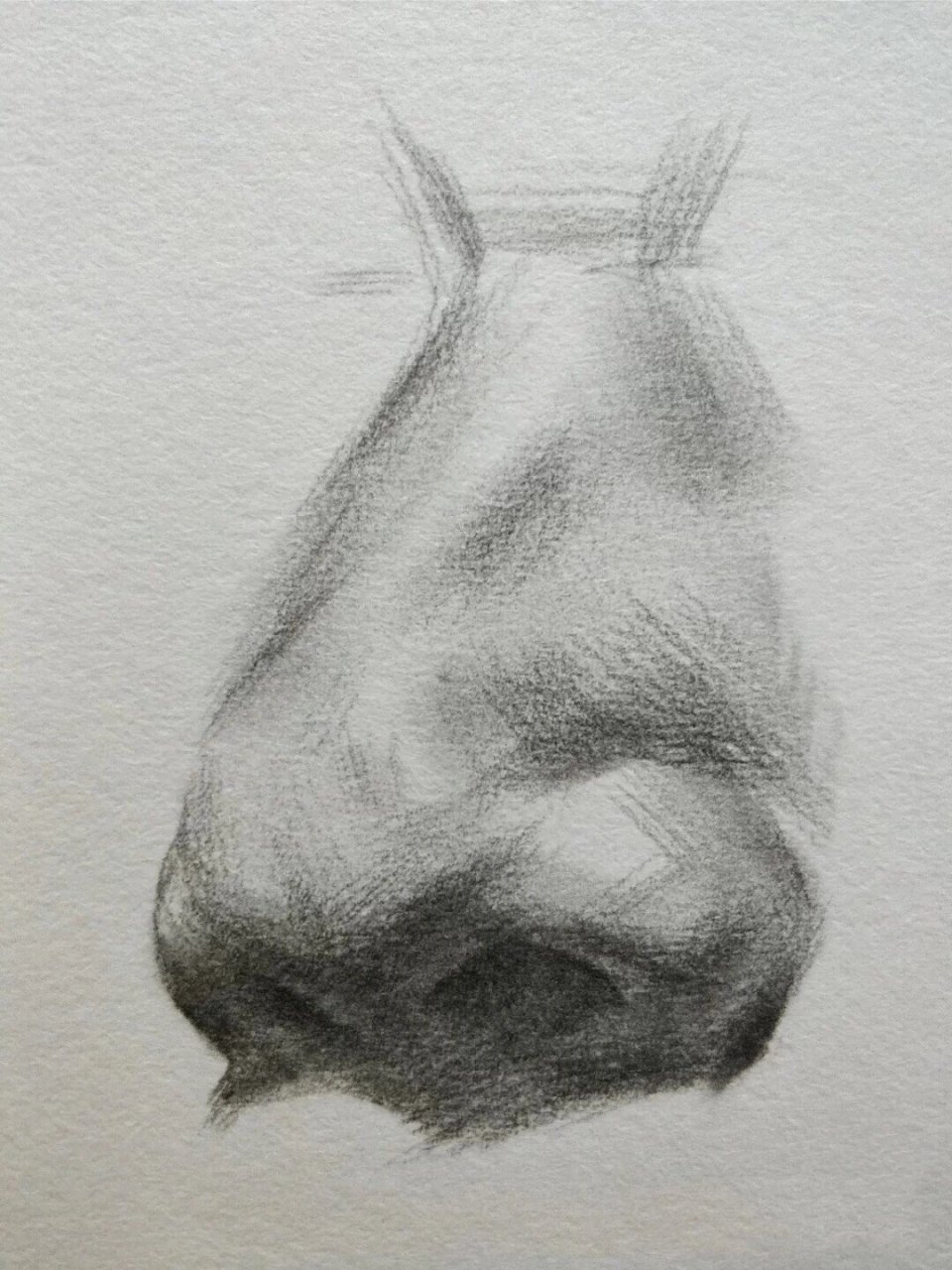素描人物的鼻子怎么画才好看?(素描人物的鼻子怎么画才好看图片)