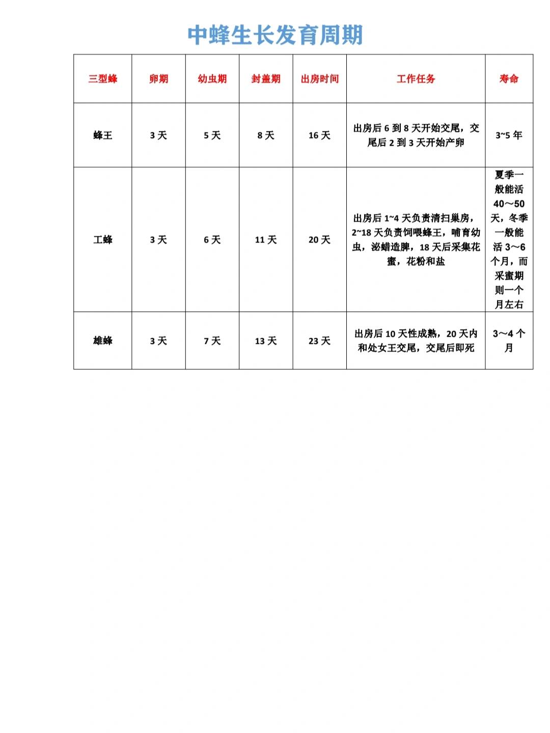 中蜂生长发育周期图图片