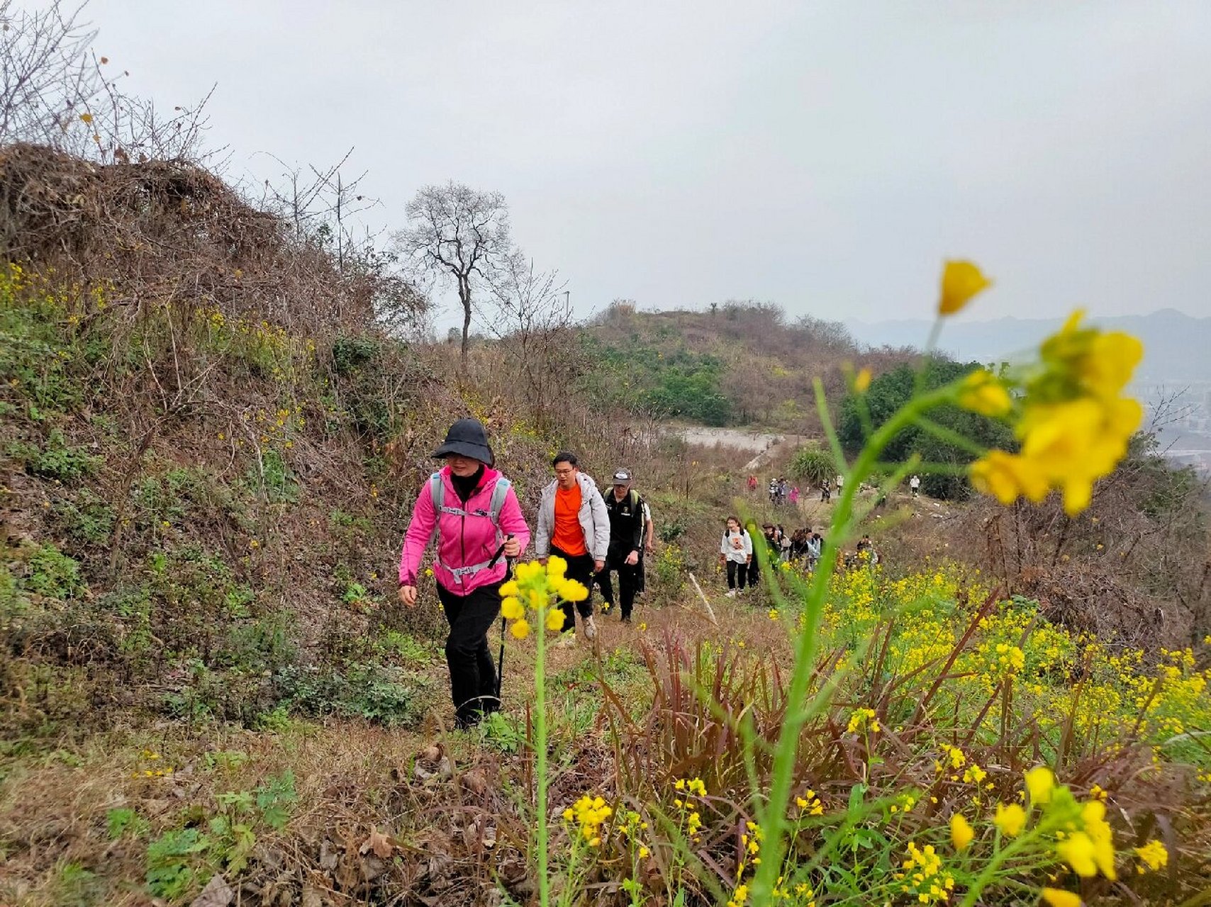 徒步爬山|寨山坪森林公园   每周一山徒步计划