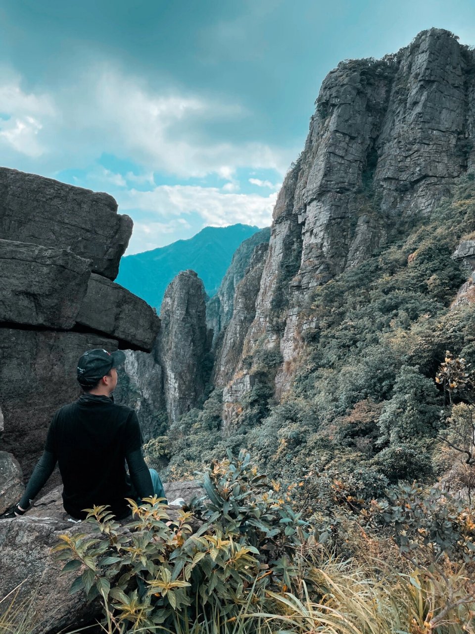 茶岩顶位于韶关曲江罗坑镇内·毗邻英德 97 山顶长满野茶树而出名
