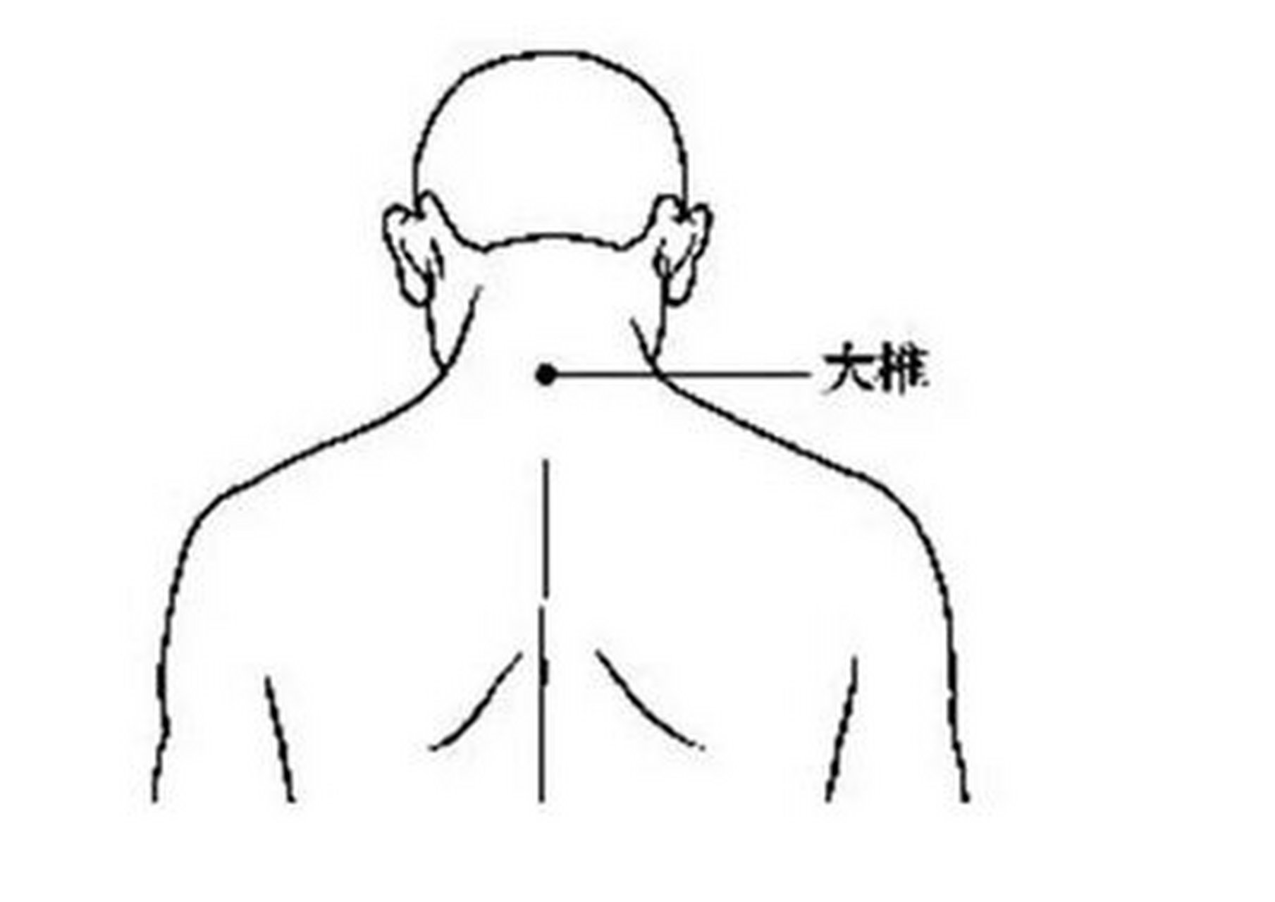 【每日一穴】大椎穴的位置和运用 位置,主调,快速取穴 大椎,督脉腧穴.