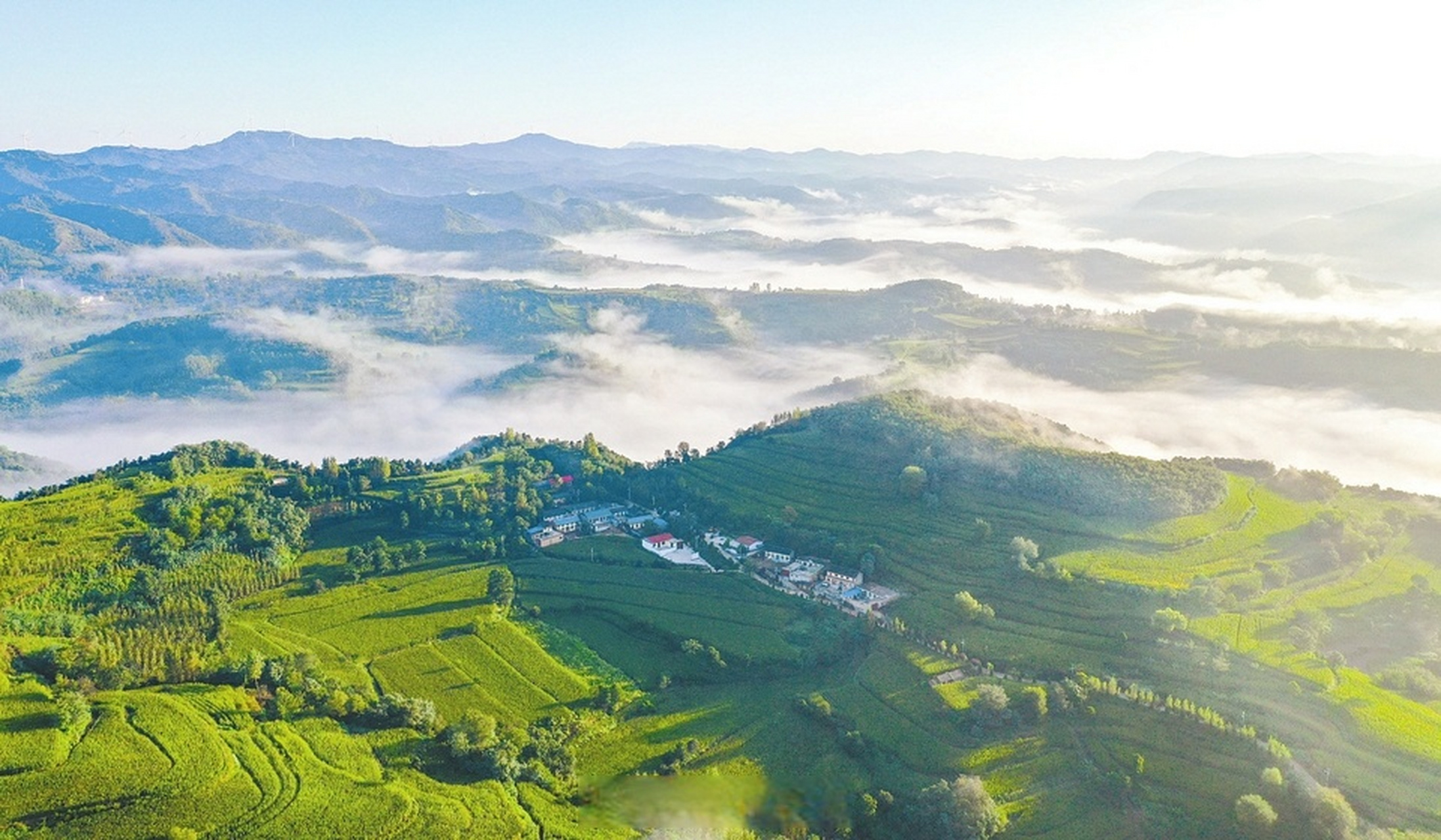 【云海景观 生态画卷】8月24日,雨后夏县中条山腹地的泗交镇出现云海
