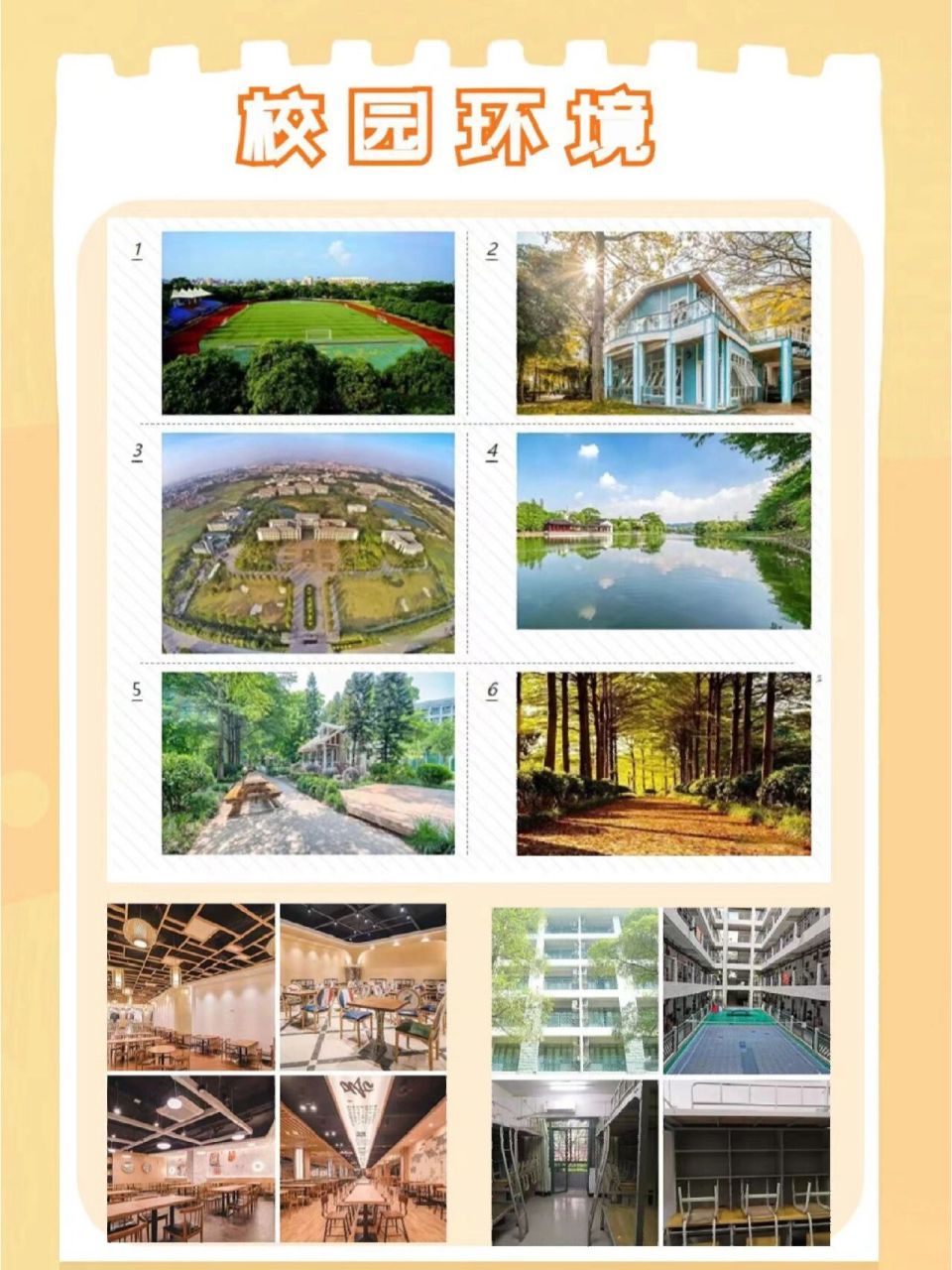 新增插本院校南国商学院,学费最低2.