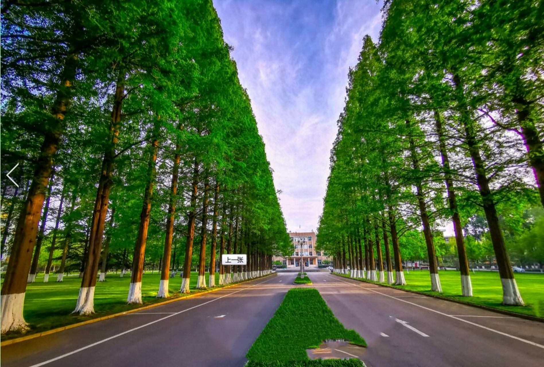 青岛农业大学海都学院在烟台莱阳,莱阳果园不少啊哈哈哈,大樱桃莱阳