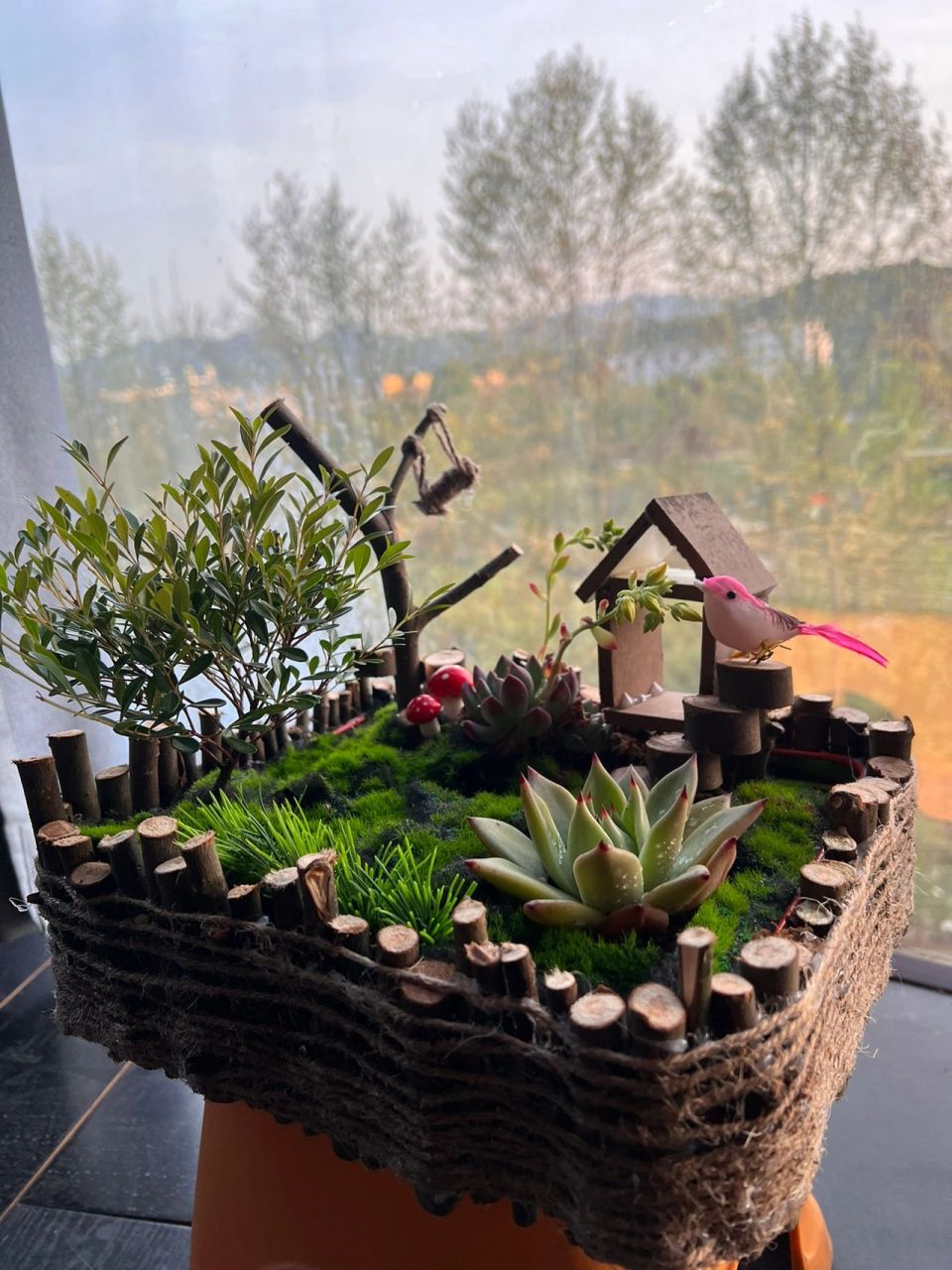 自制多肉花盆,废物利用 学校植树节作业,要求废物利用 看了基本上是