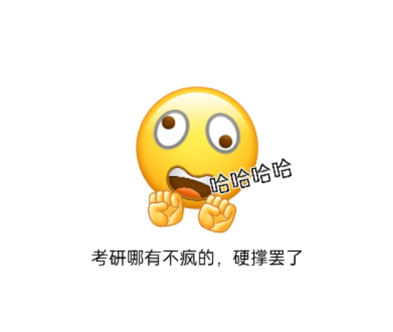 考研哪有不疯的~ 人菜瘾又大,做表情真上头