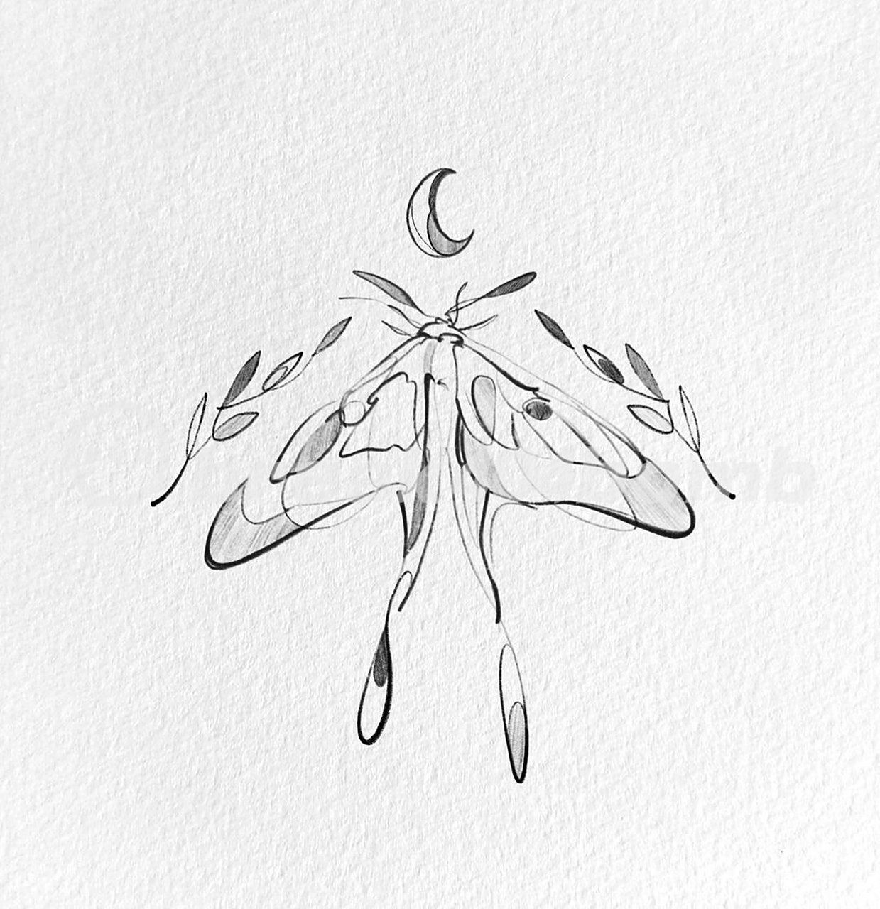 海豚金鱼鲸鱼等纯净的动物线条纹身手稿 寓意自己能有保持纯净之心,也