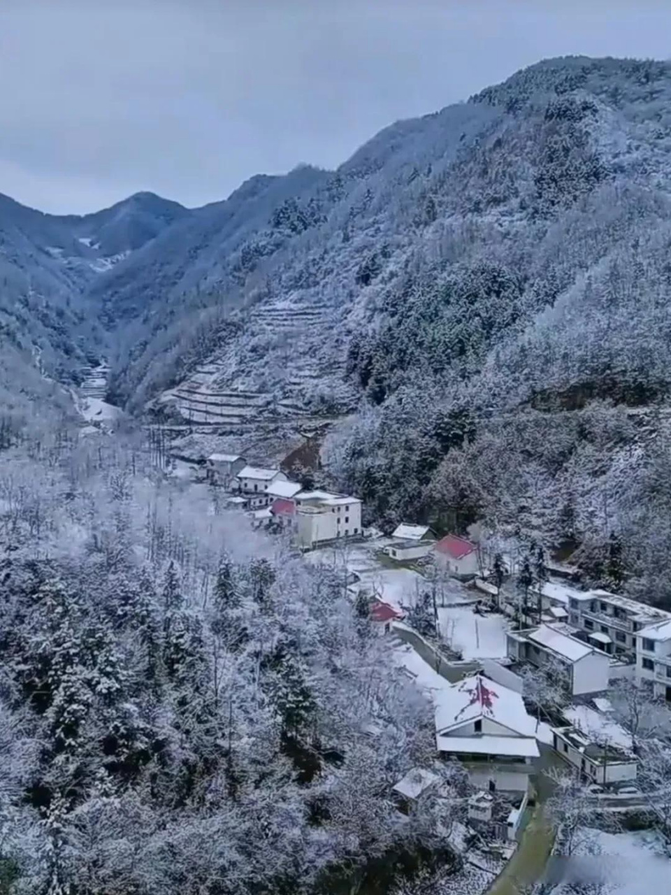 秦岭黄花岭冬天照片图片