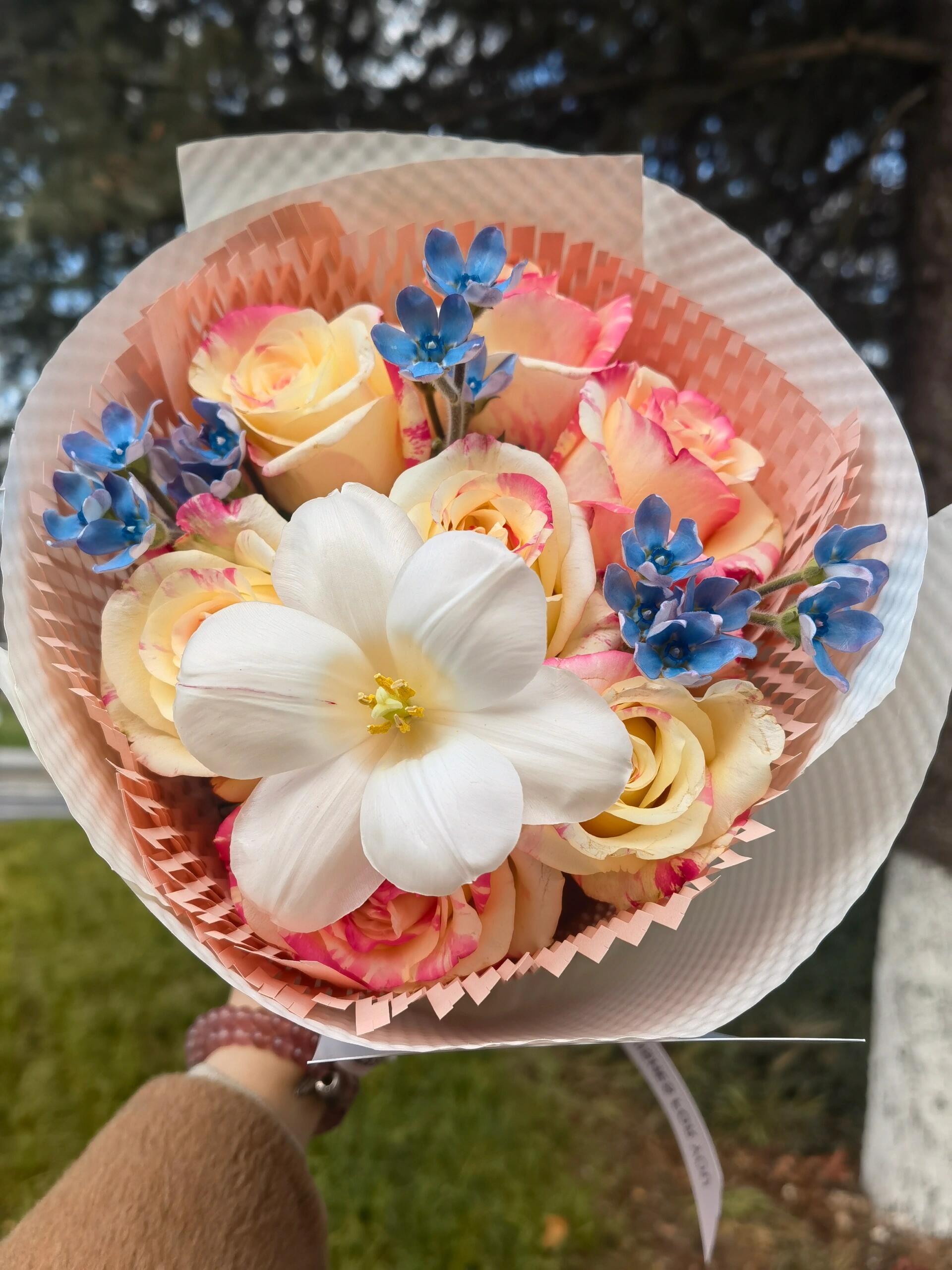 均为阳光下的实拍,没加滤镜.7枝霓裳玫瑰&3枝蓝星花&1枝郁金香 r