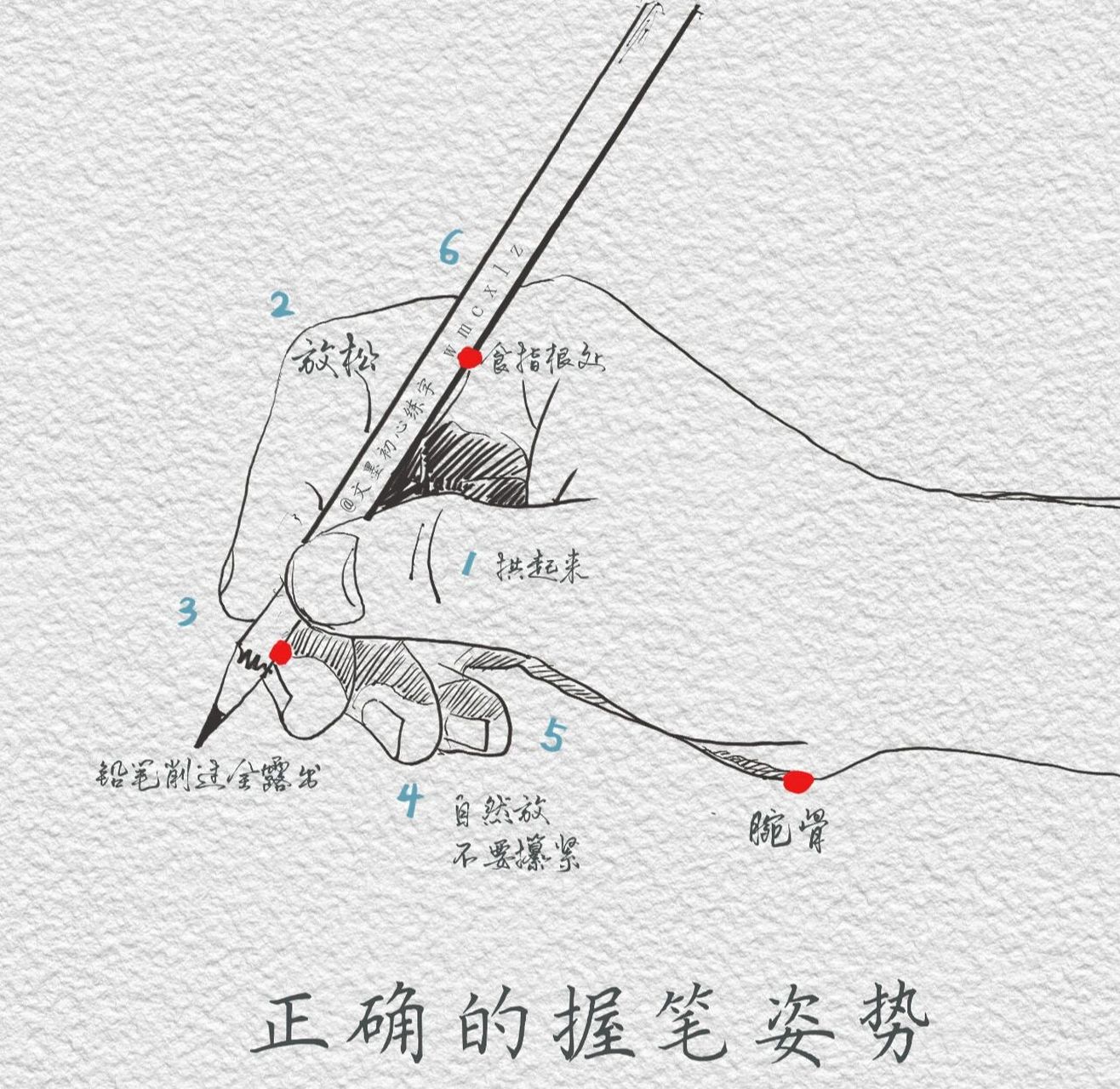 标准握笔姿势图来了,快来自检一下叭!