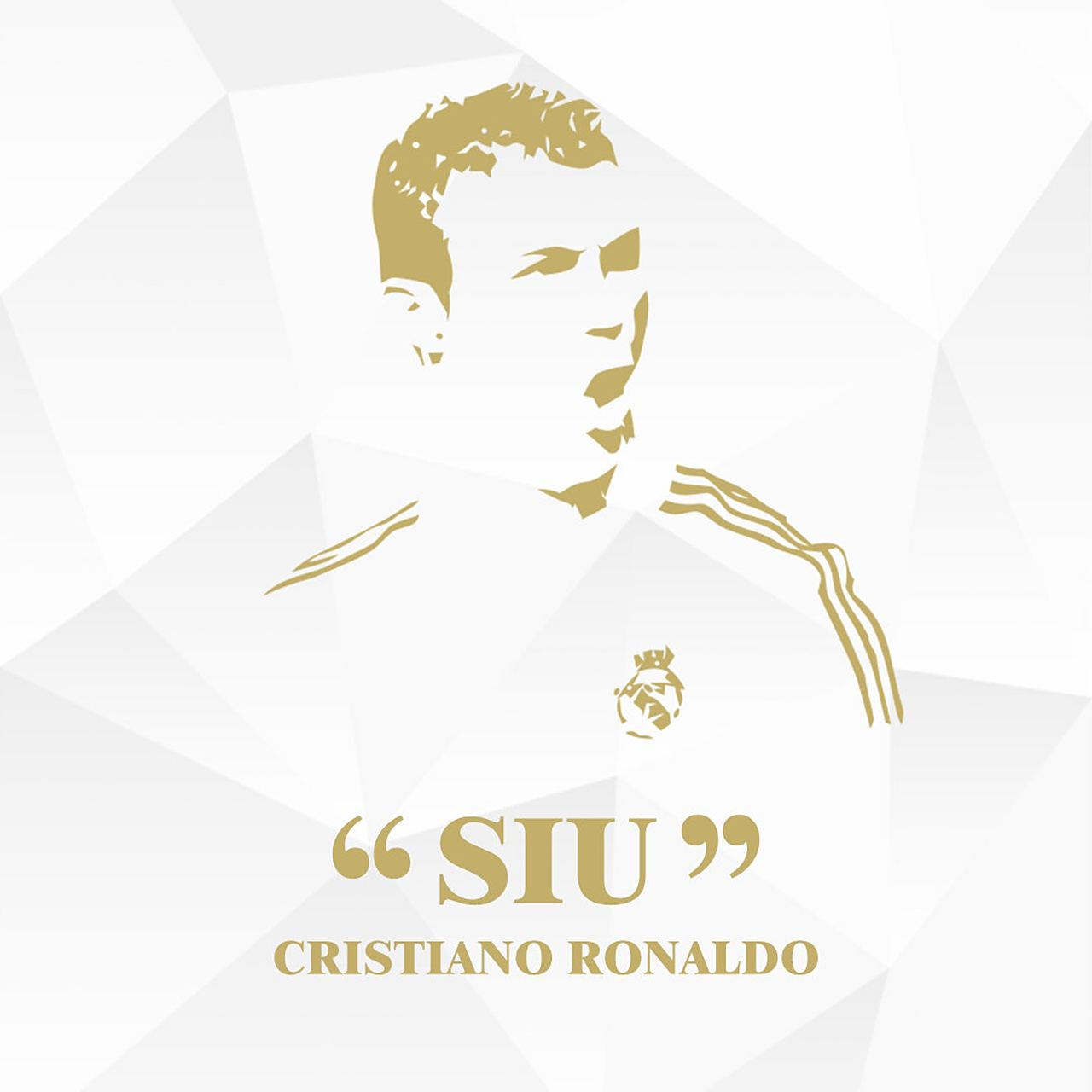 有博友要c罗头像,顺手改一改,请自取……#皇马# #halamadrid