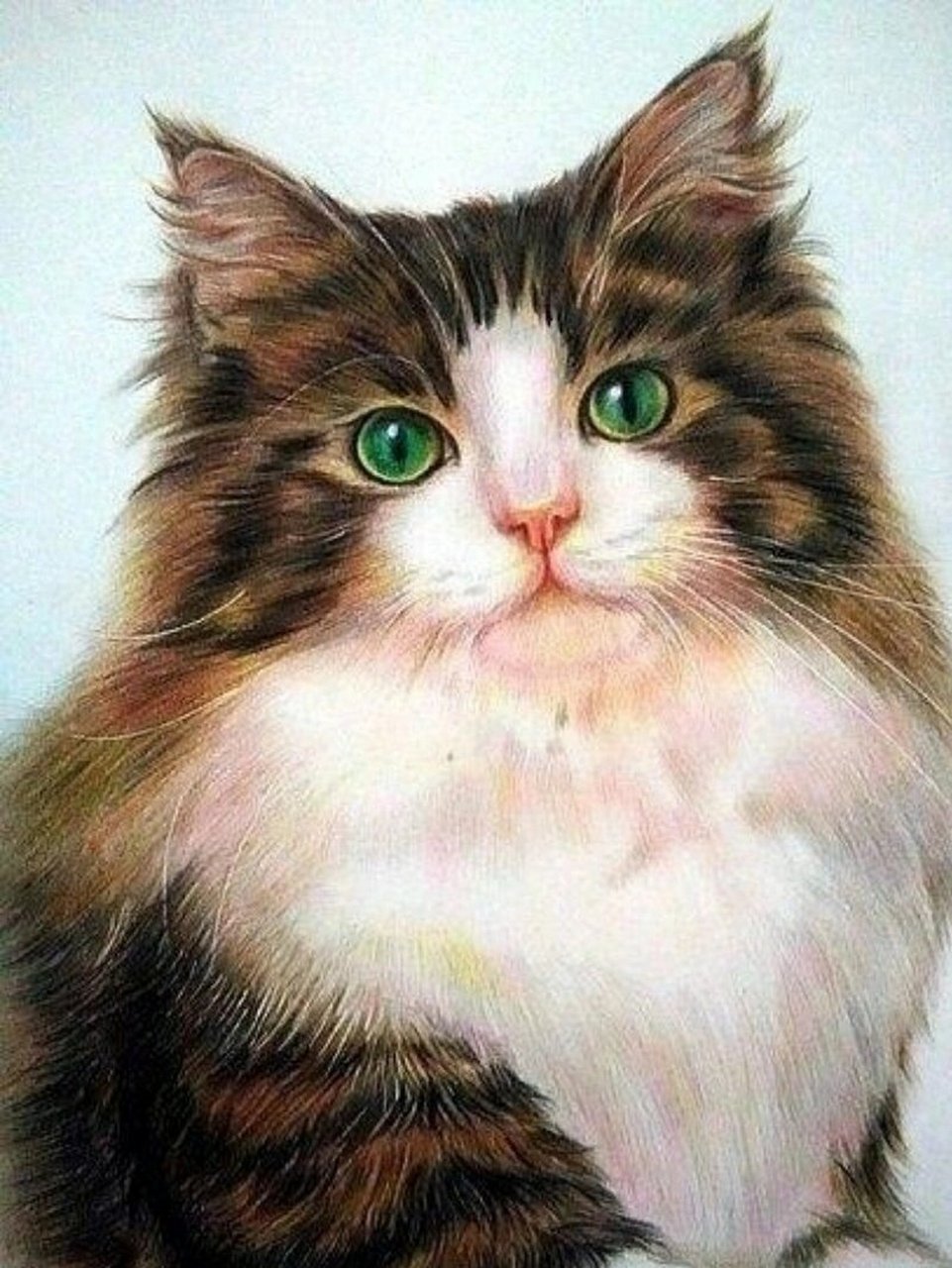 作品分享‖彩铅动物合集 关于彩铅动物问的比较多的是画毛发的技巧