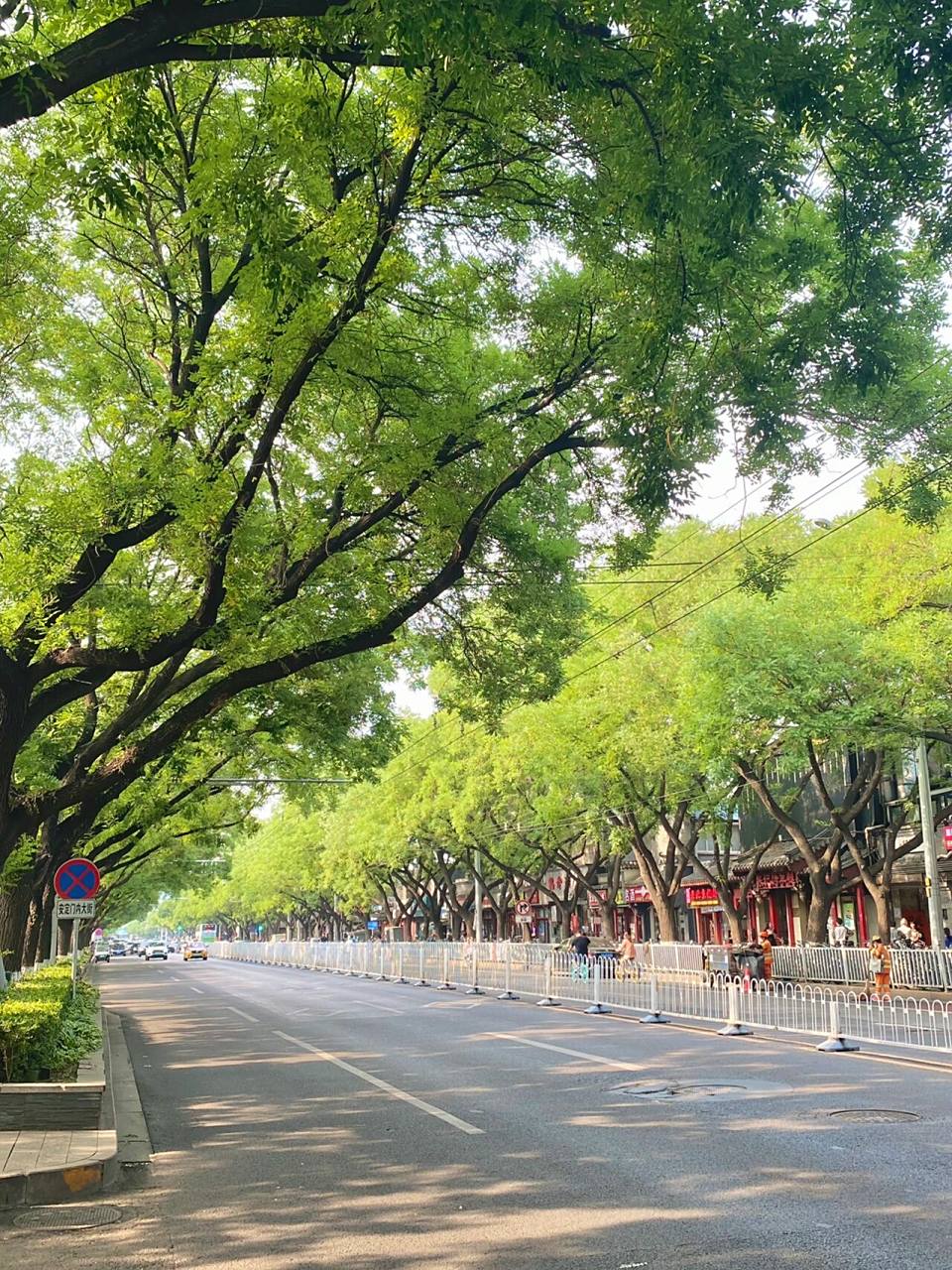 这是属于夏天的街道呀95北京citywalk 在北京,永远可以相信鼓楼大街