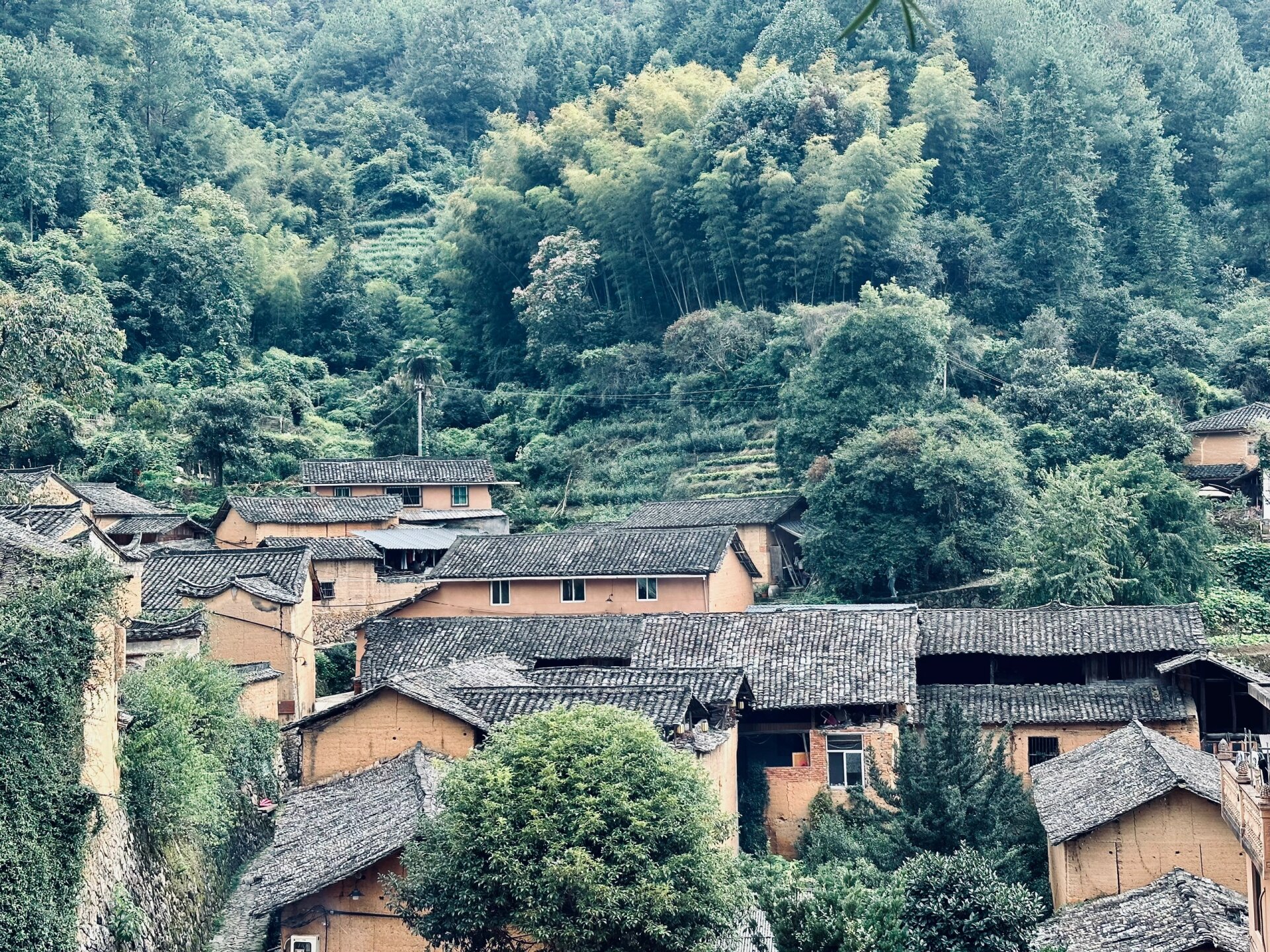 煊煊旅游|浙江丽水杨家堂村 350年历史的杨家堂村被誉为"江南最后秘境