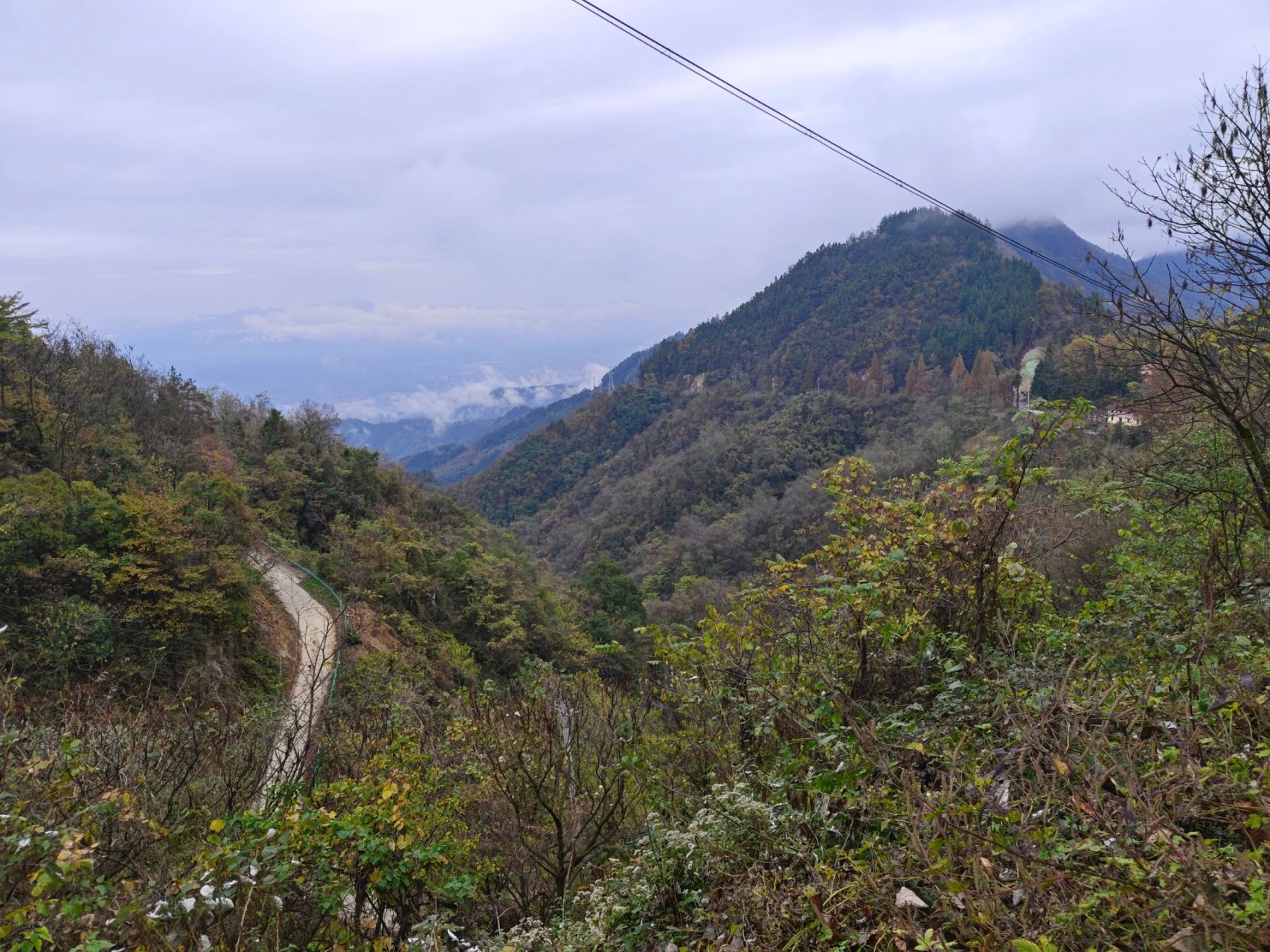 安康市凤凰山森林公园图片