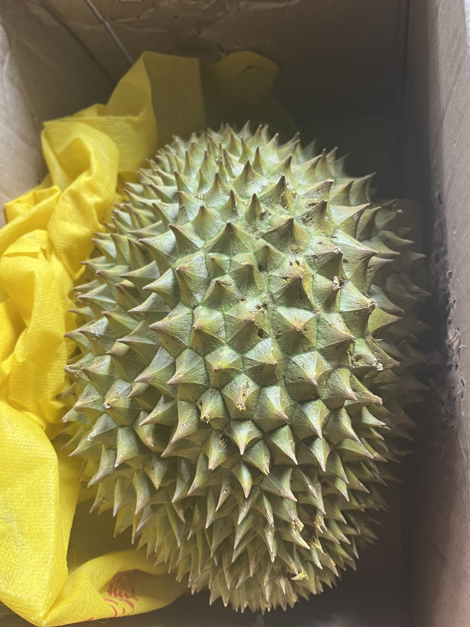 干尧榴莲要放多久才能熟 3号京东上永辉超市买的,绿油油的,当时着急