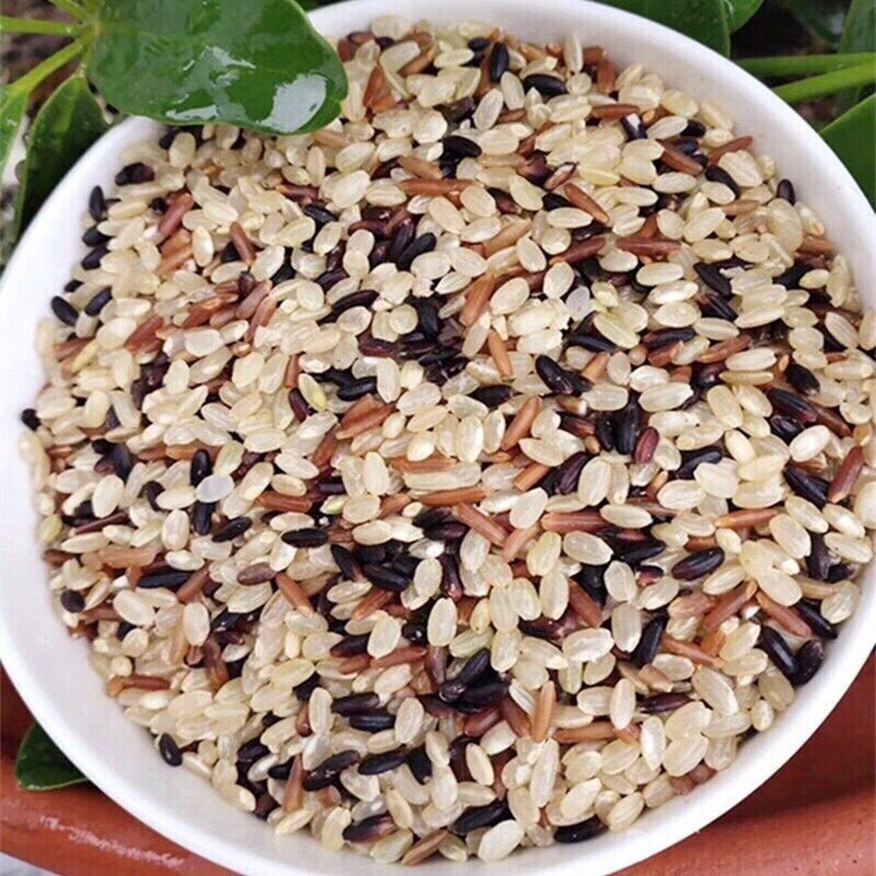 92粗粮三色米,三色糙米 96是糙米,红糙米,血糯米组成,三色糙米有