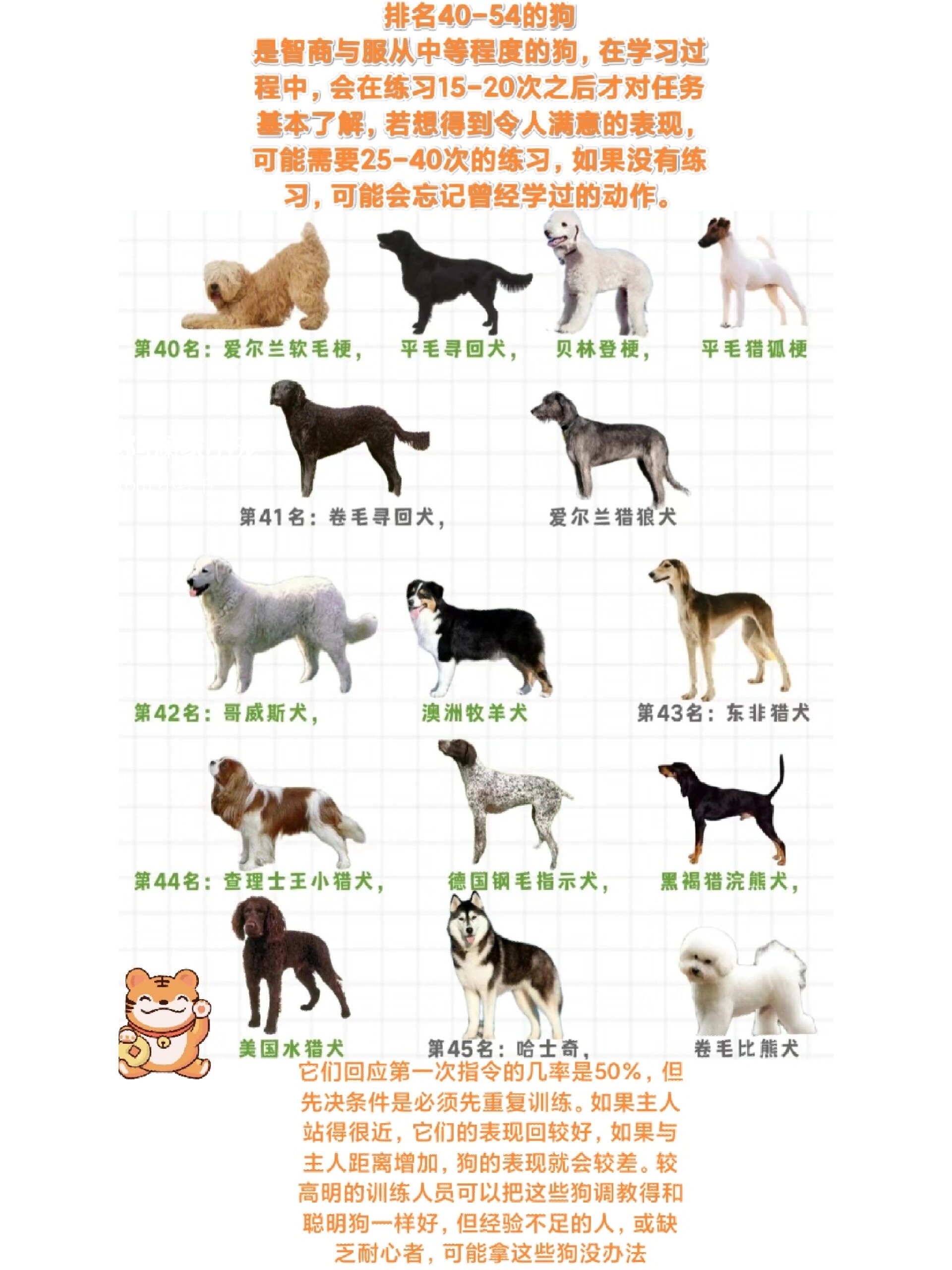 数字经济最新资讯-快科技--科技改变未来开元棋牌- 开元棋牌官网 - 开元棋牌APP下载