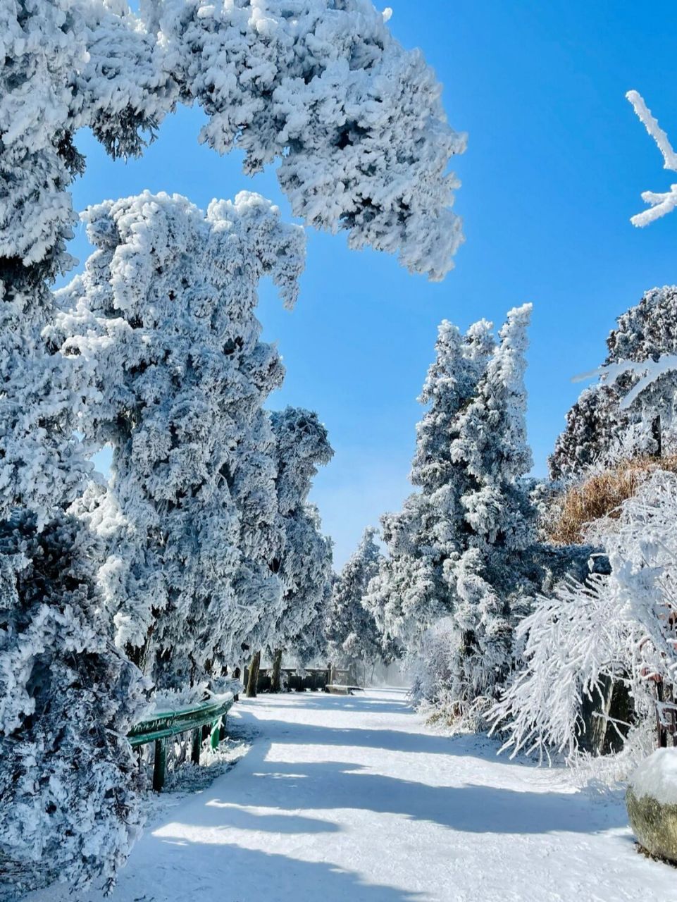 南岳衡山|不用去东北也能看到雾凇奇观了 冬天的衡山也太治愈了吧,不