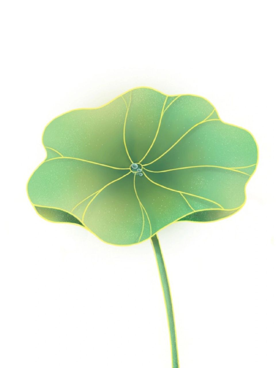 国风插画练习之荷叶篇01绘画步骤 绘画过程 1.起形 2.勾线 3.